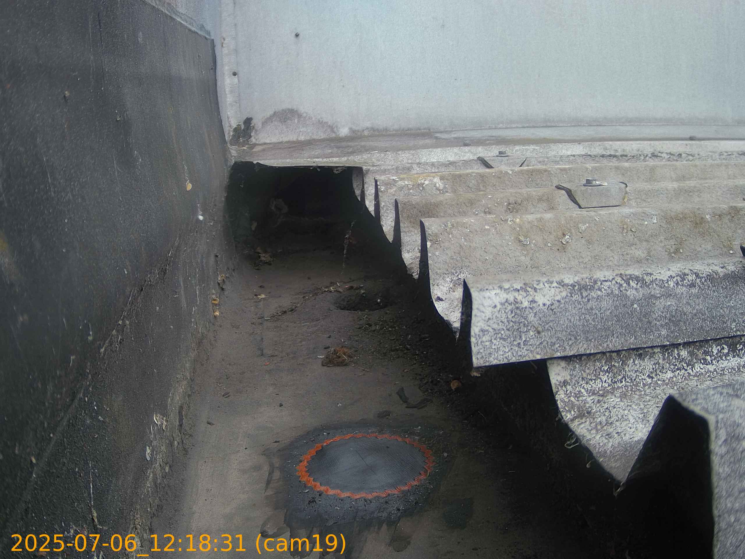 thumbnail_20250706121831