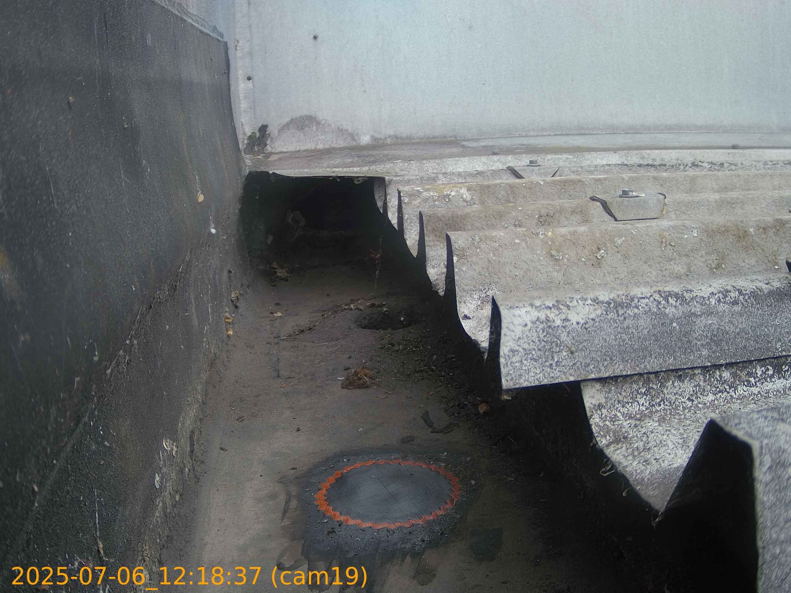 thumbnail_20250706121837