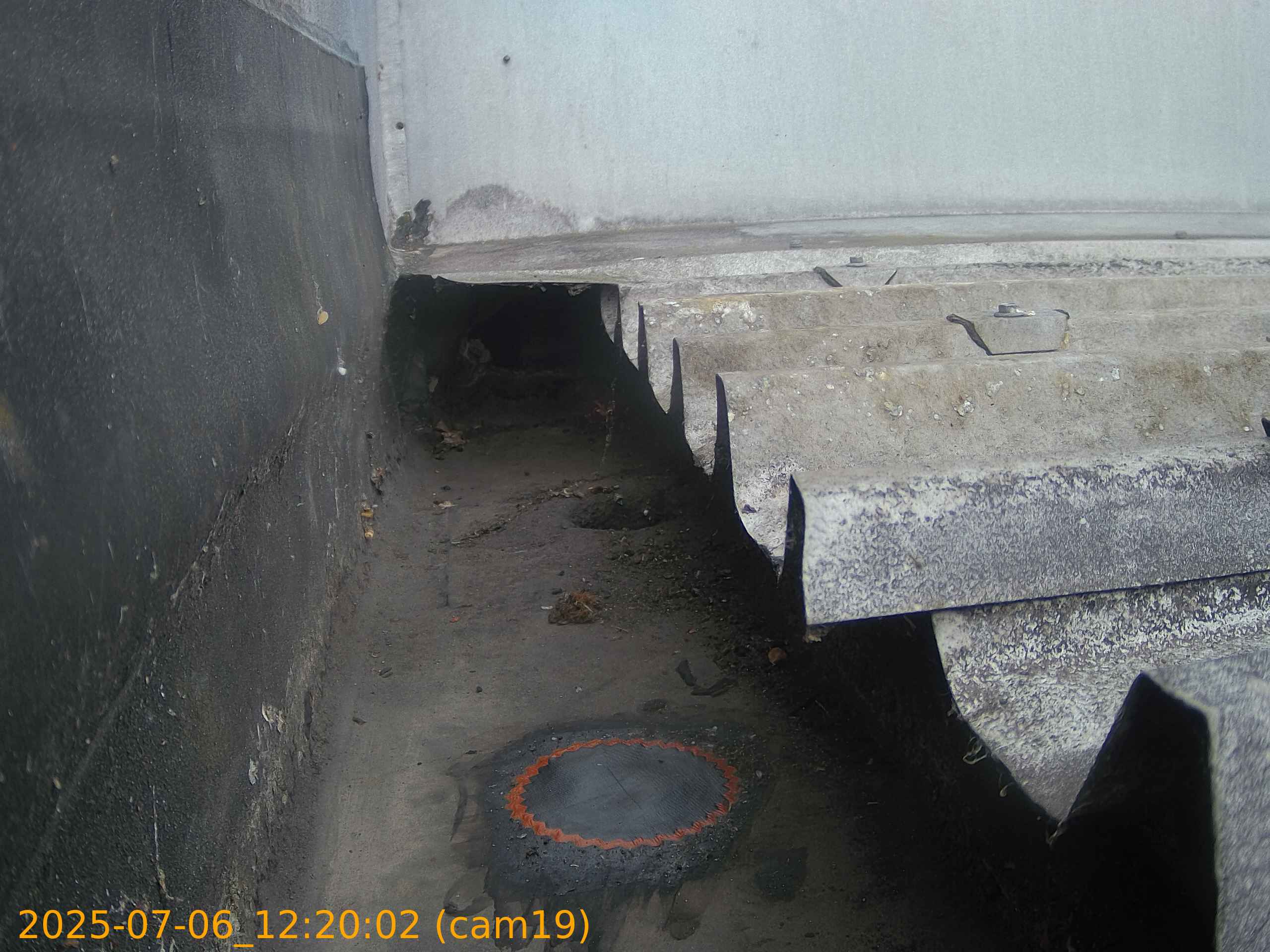 thumbnail_20250706122002
