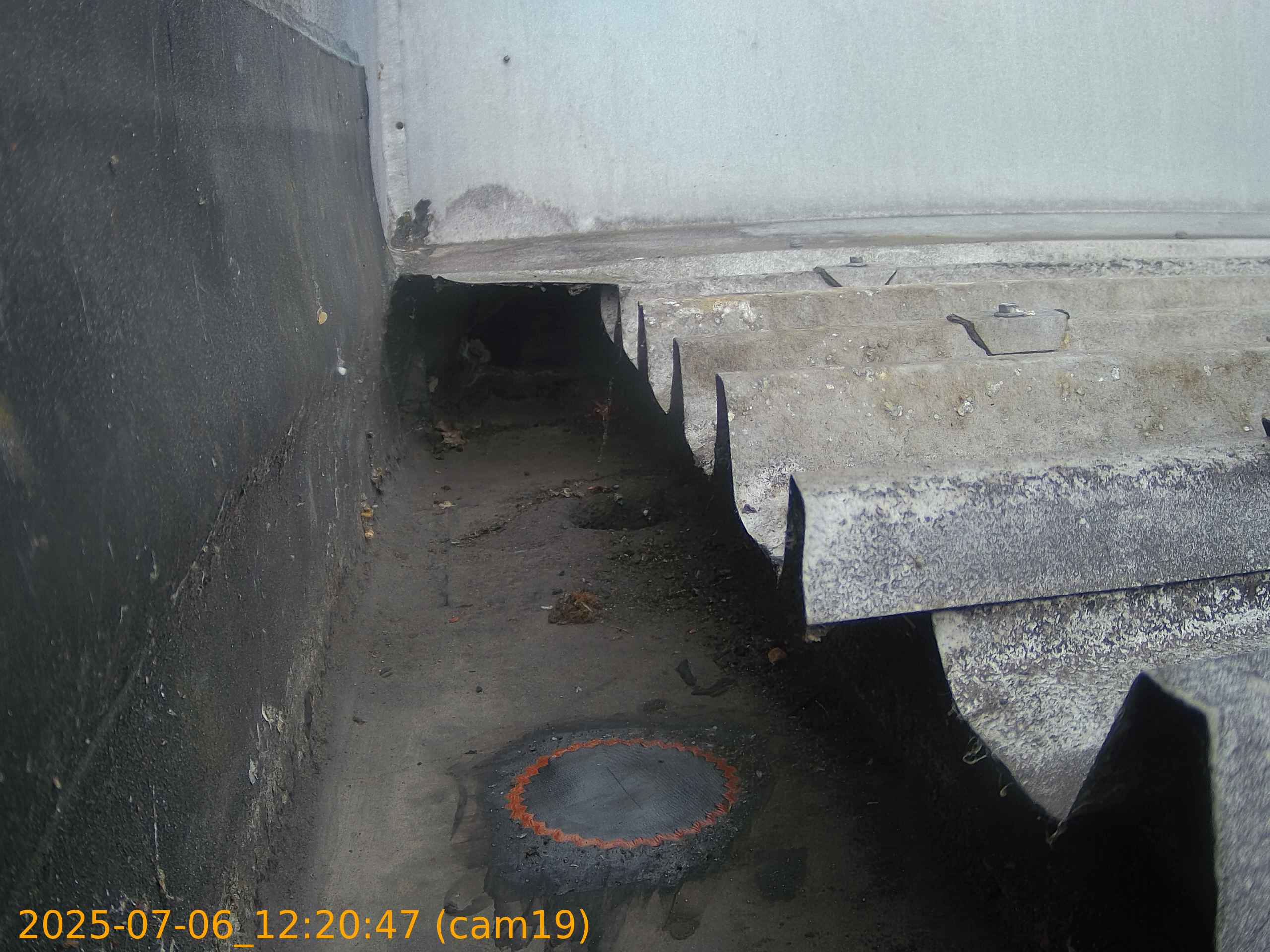 thumbnail_20250706122047