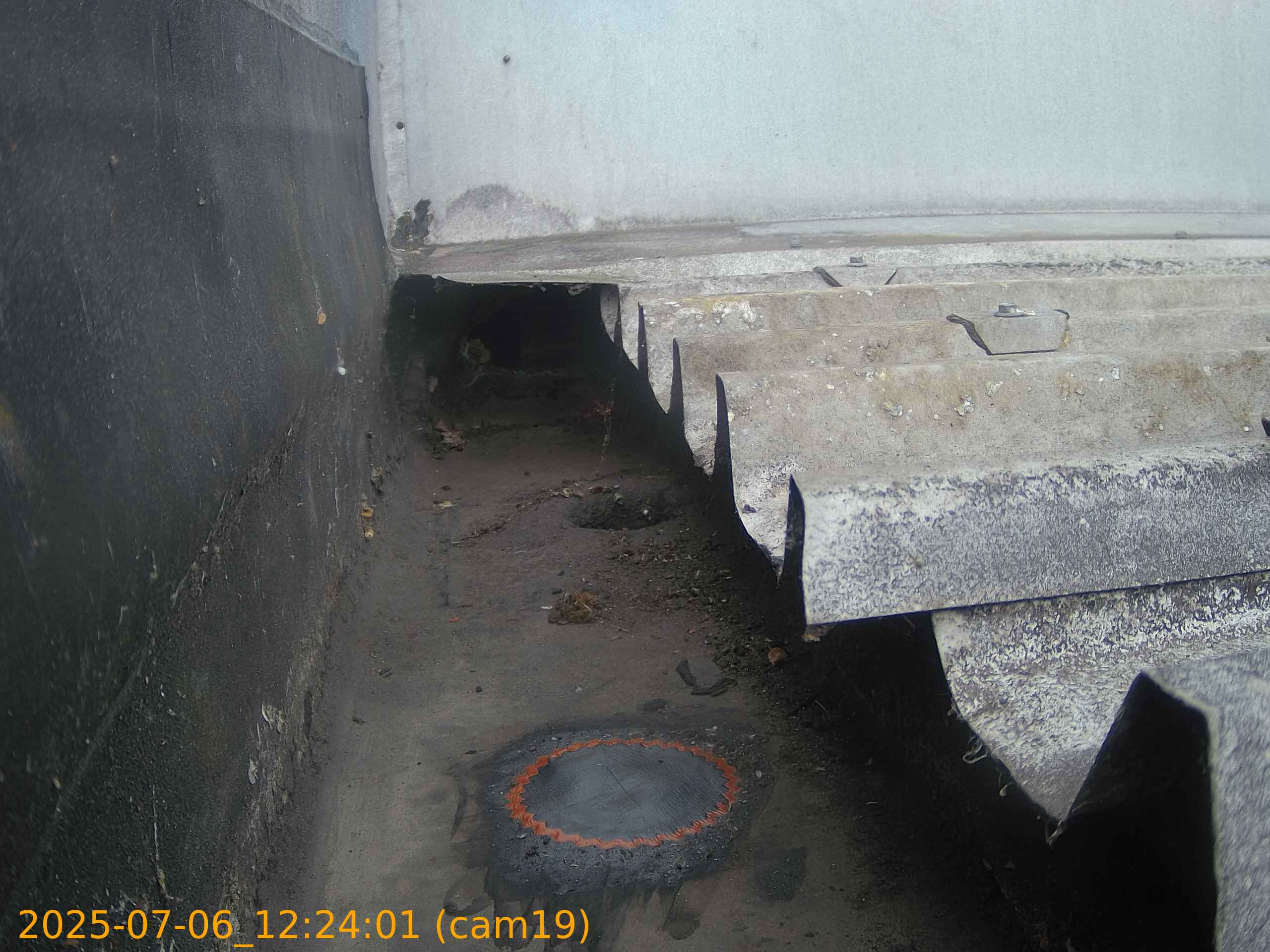 thumbnail_20250706122401