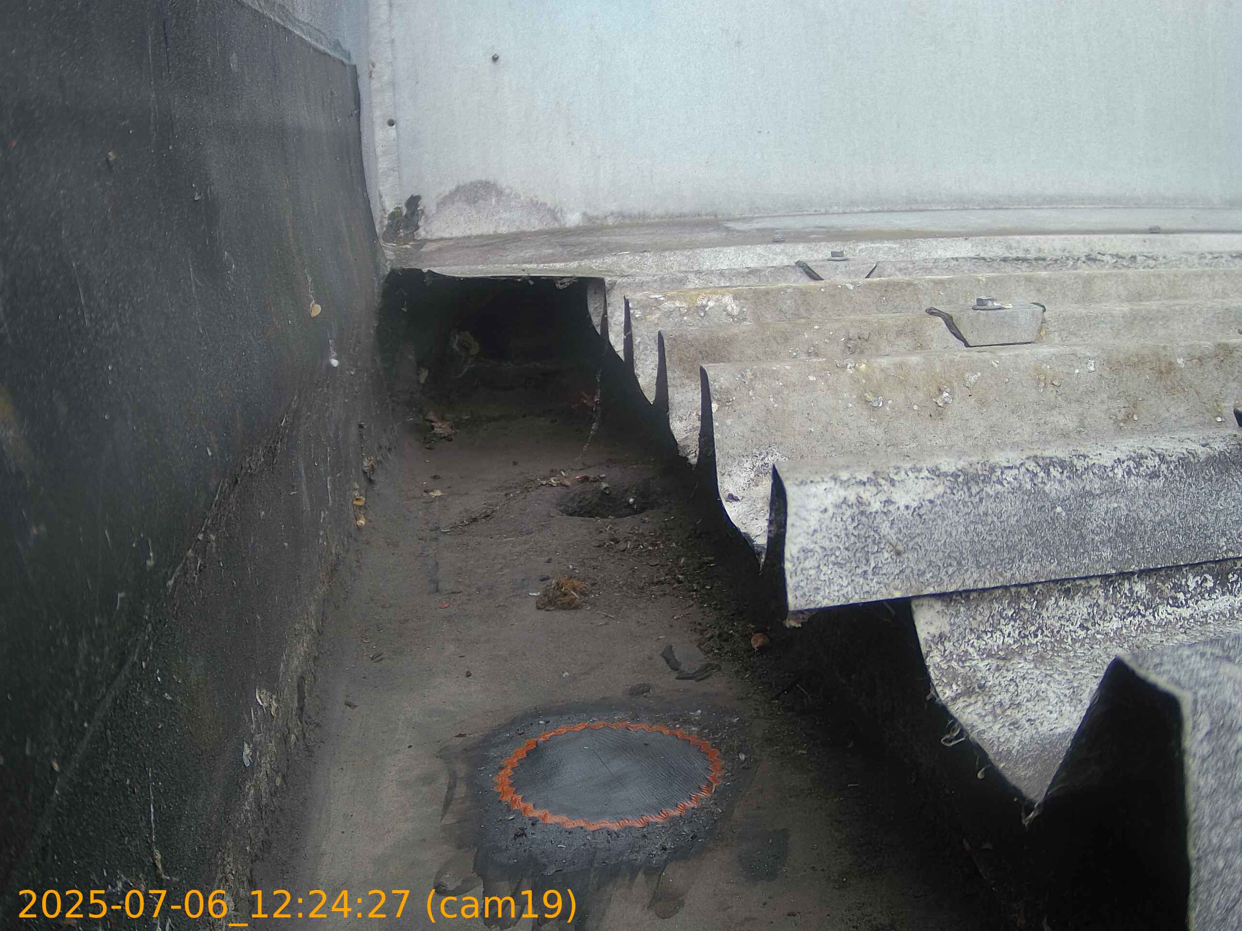 thumbnail_20250706122427