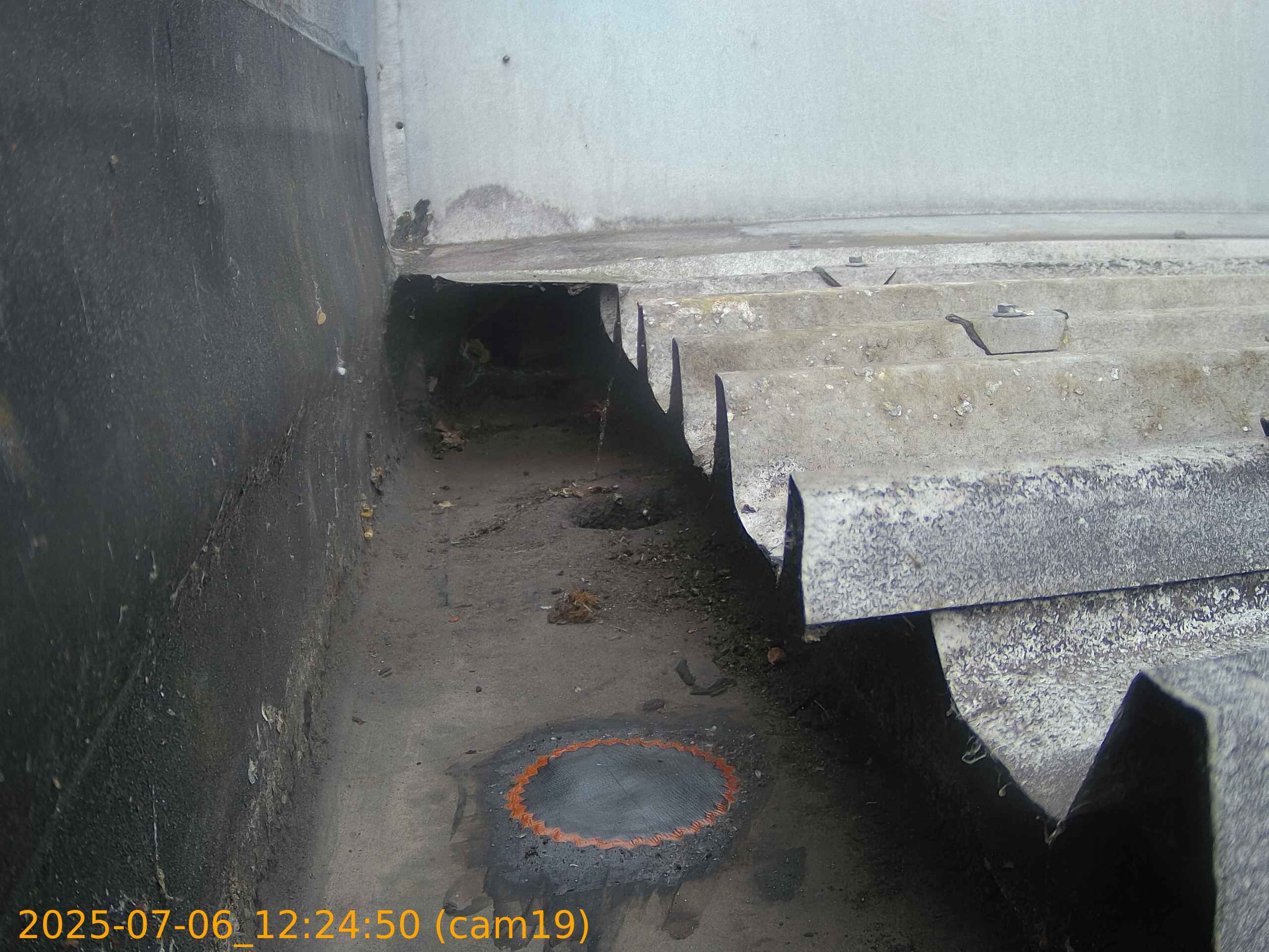 thumbnail_20250706122450