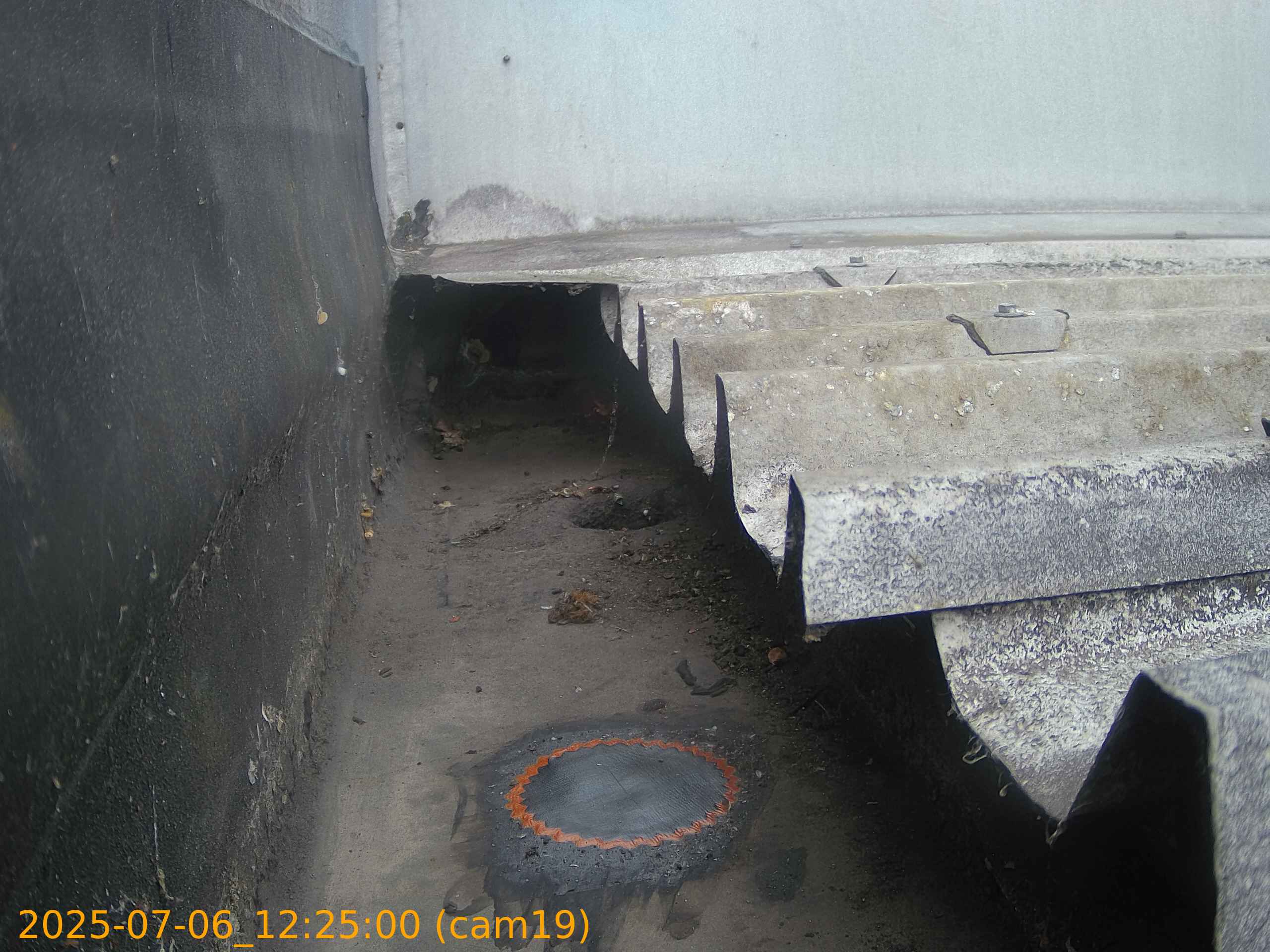 thumbnail_20250706122500