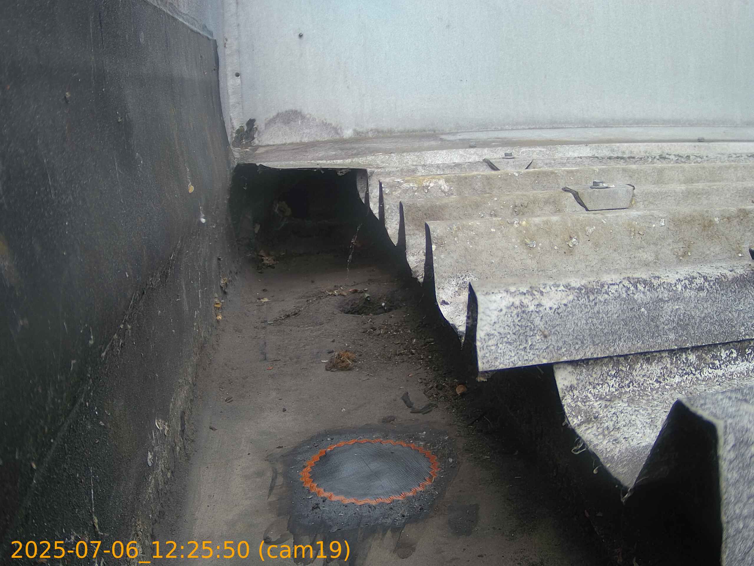 thumbnail_20250706122550