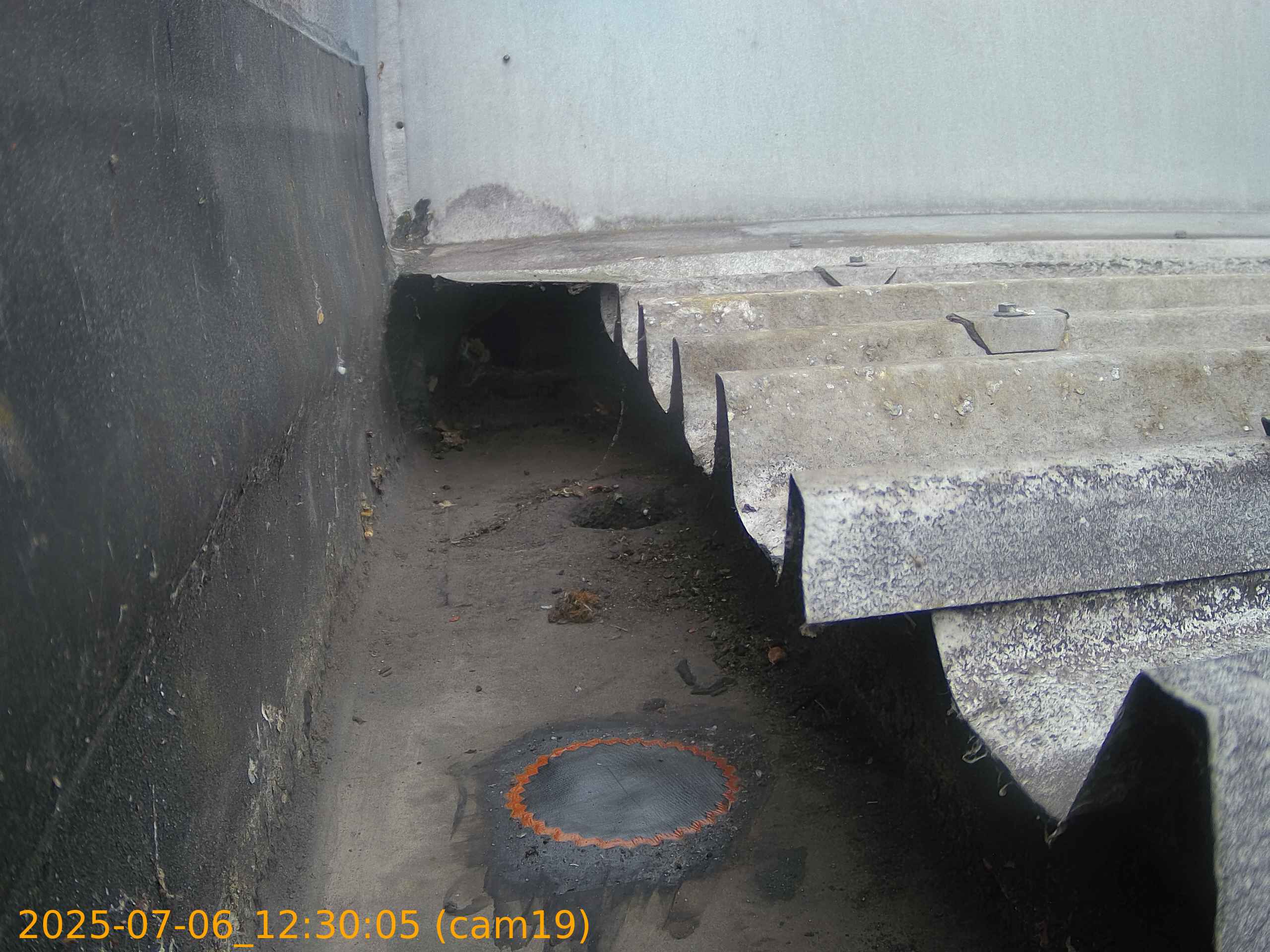 thumbnail_20250706123005