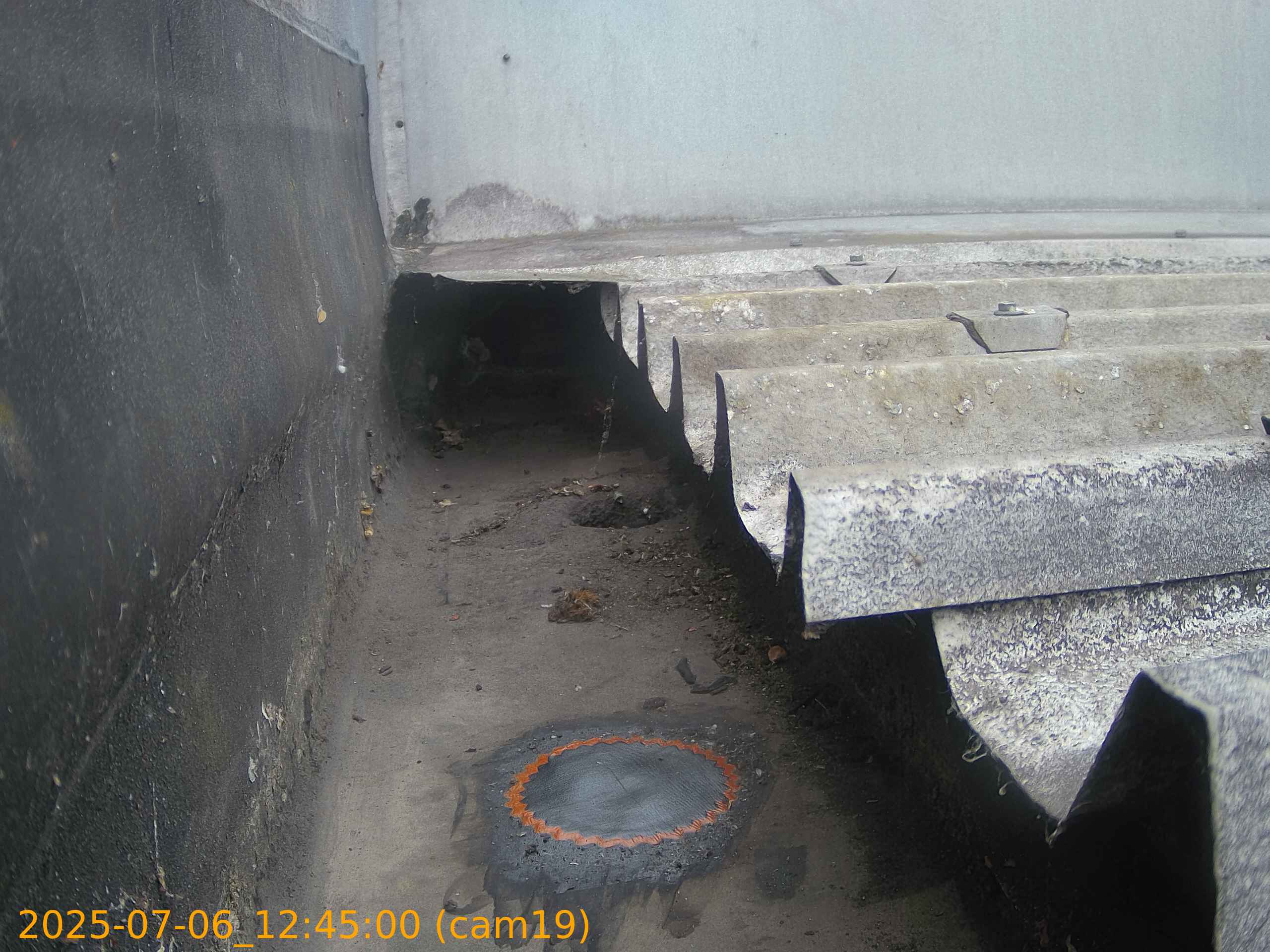 thumbnail_20250706124500