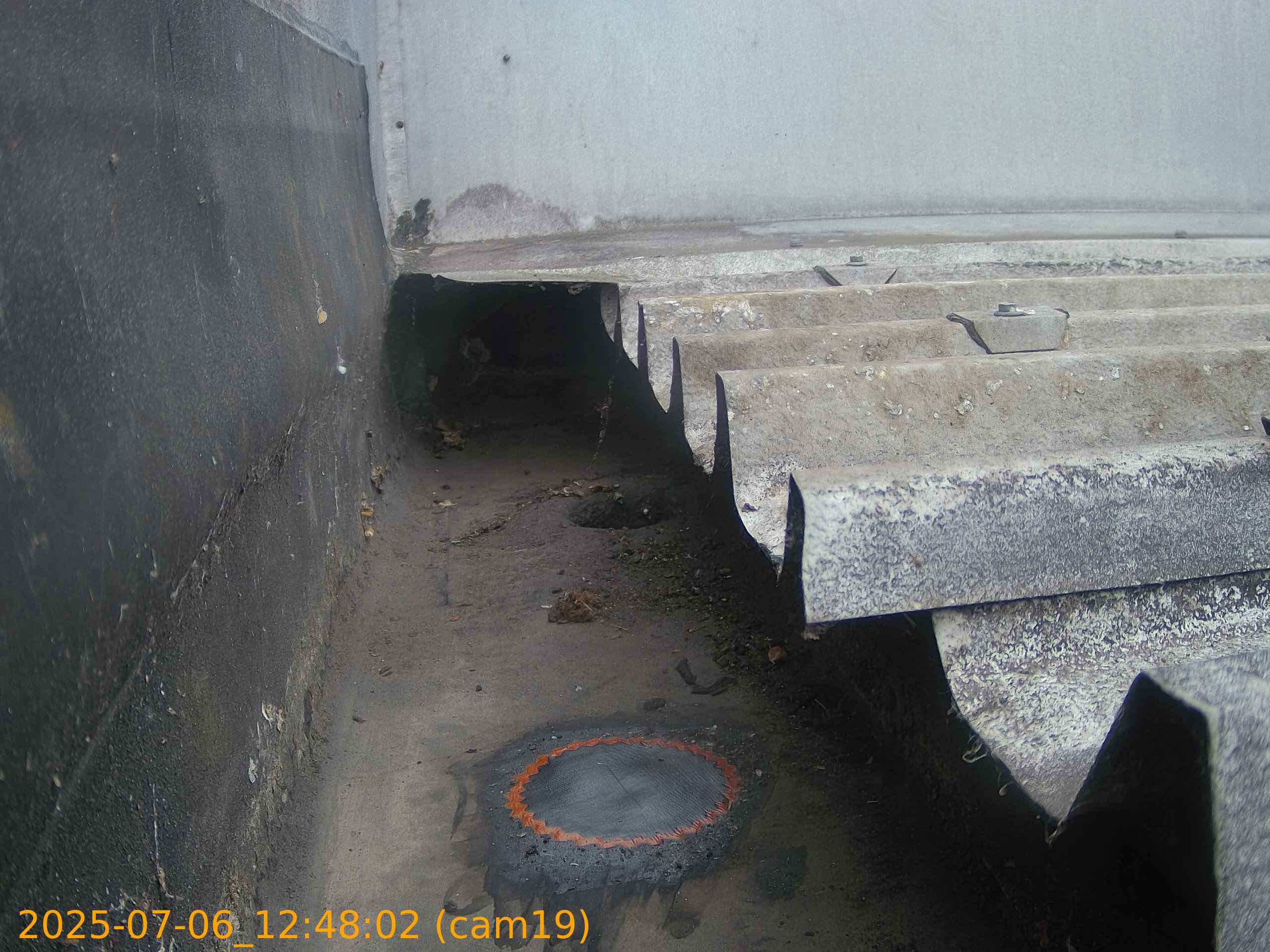 thumbnail_20250706124802