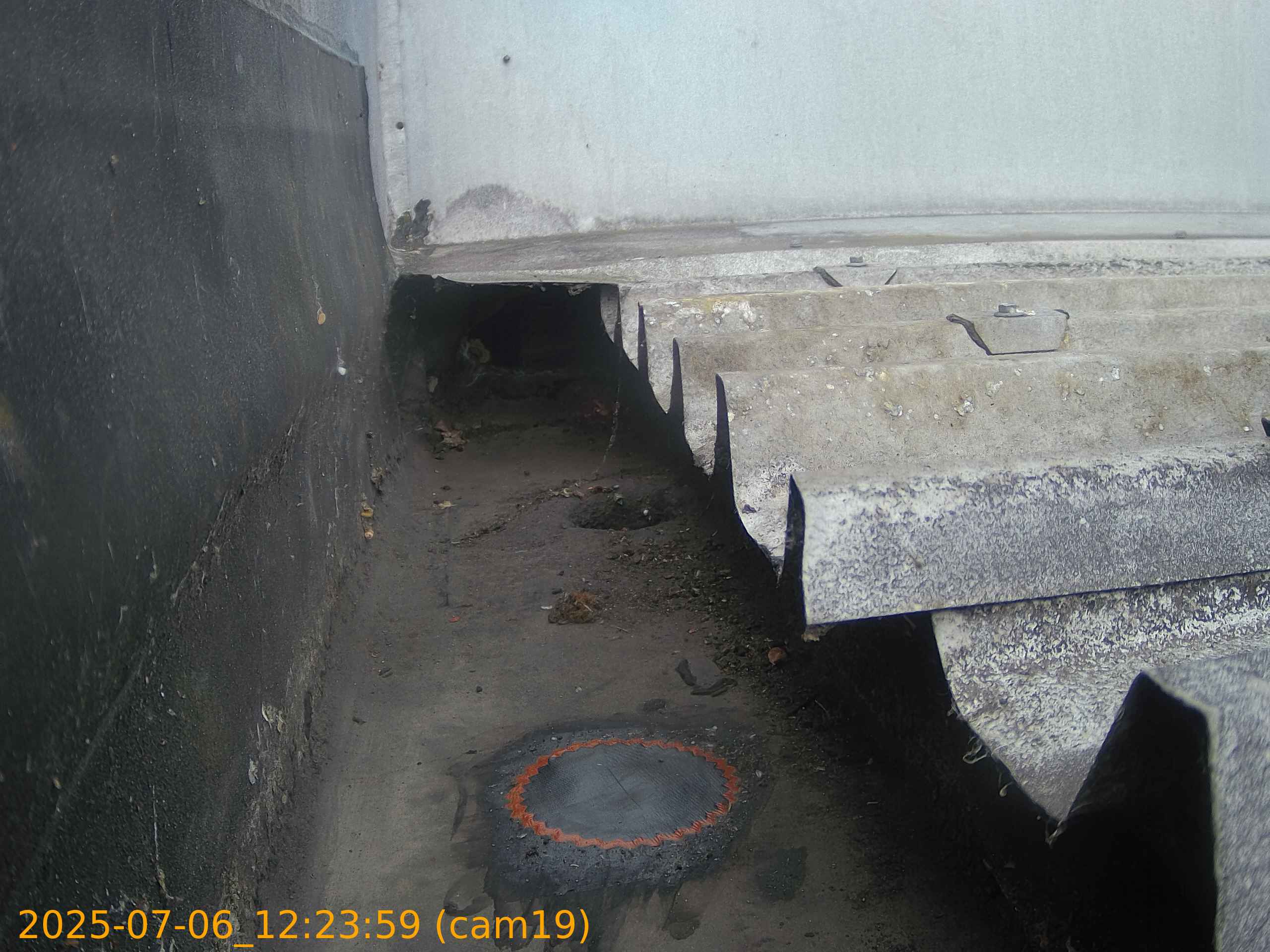 thumbnail_202507061223