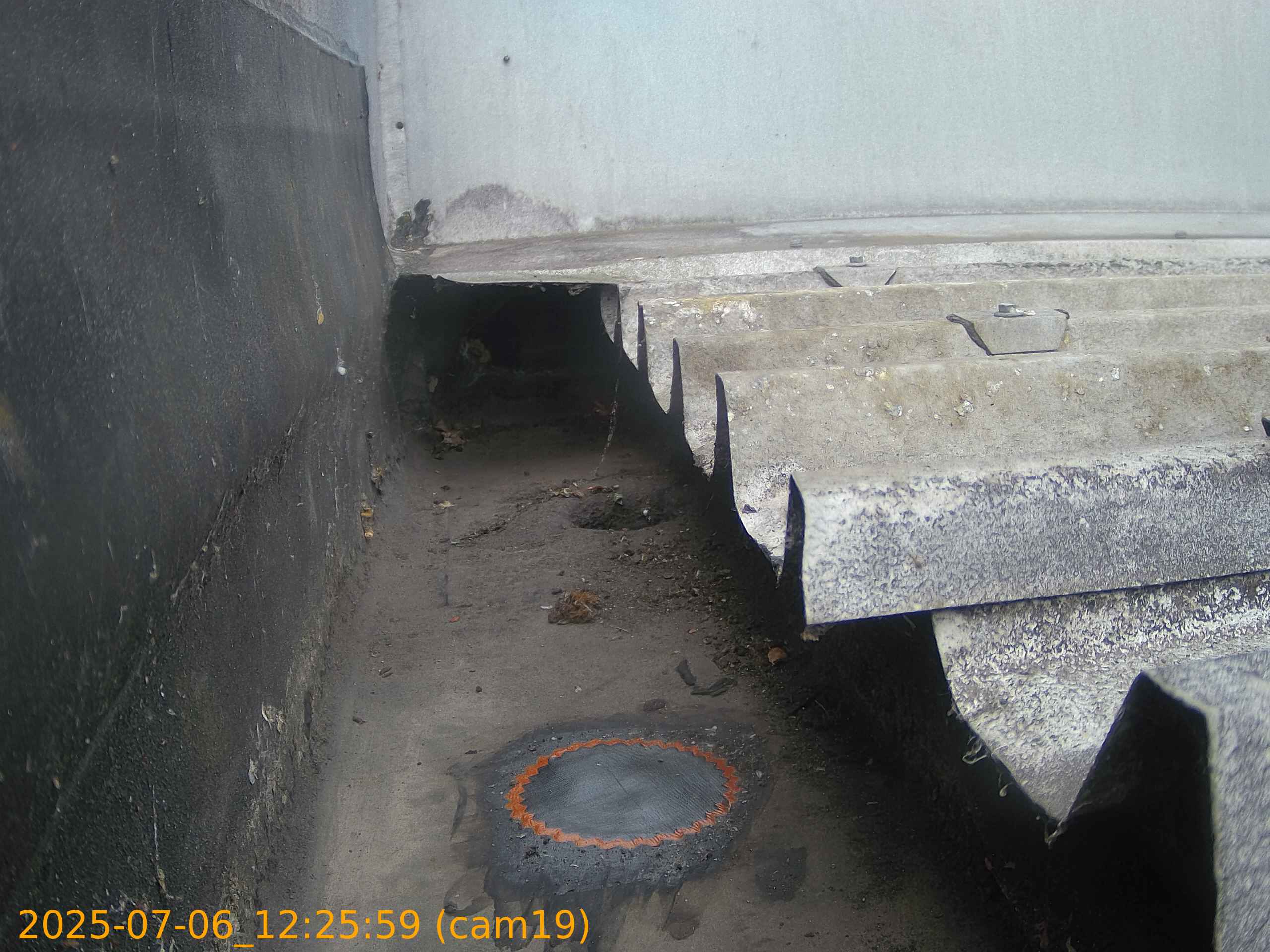 thumbnail_202507061225