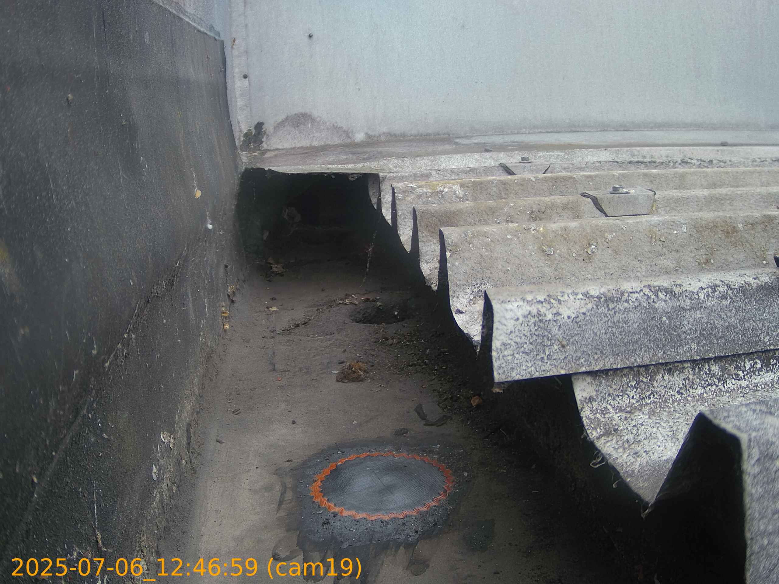 thumbnail_202507061246