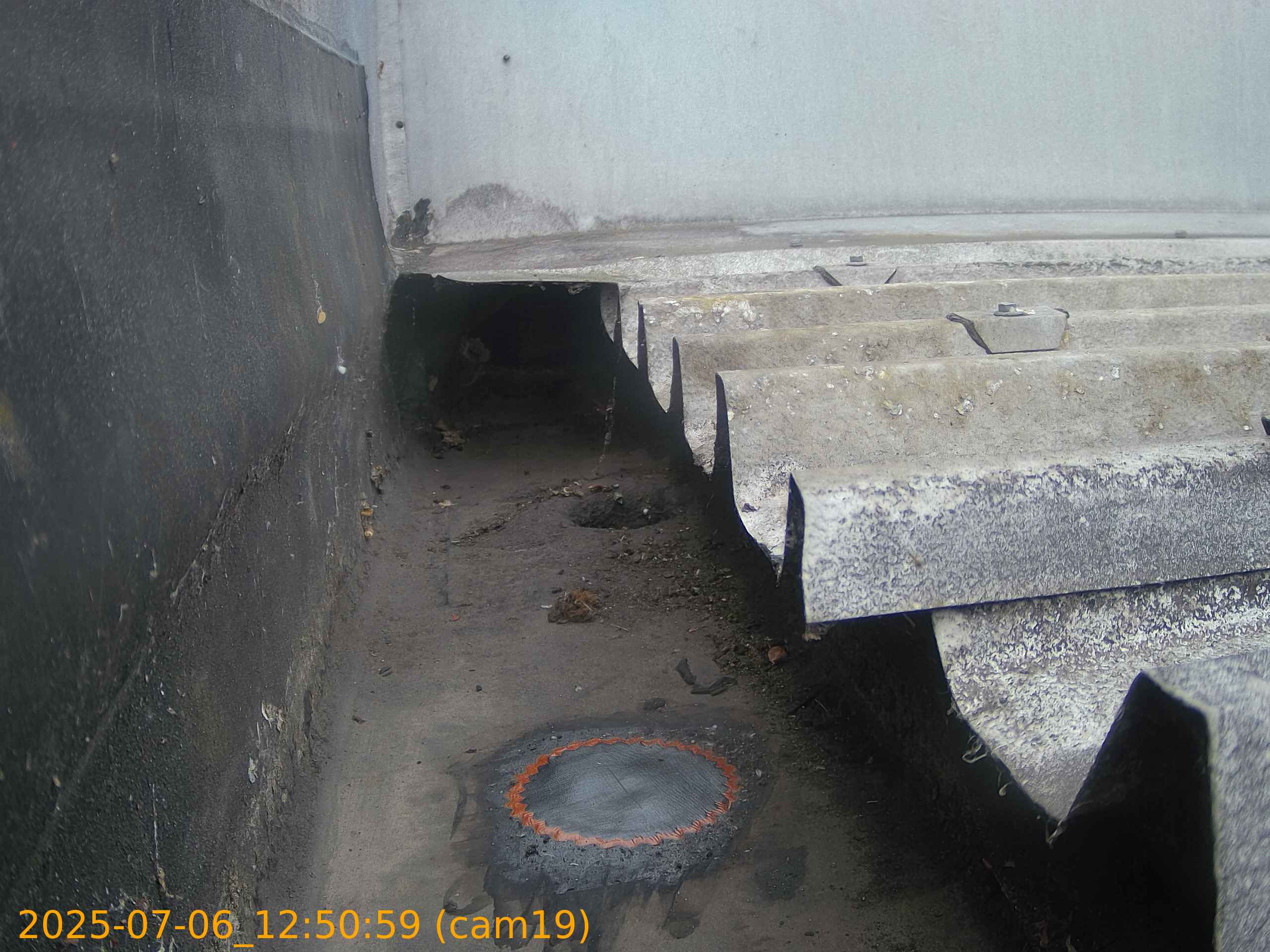 thumbnail_202507061250