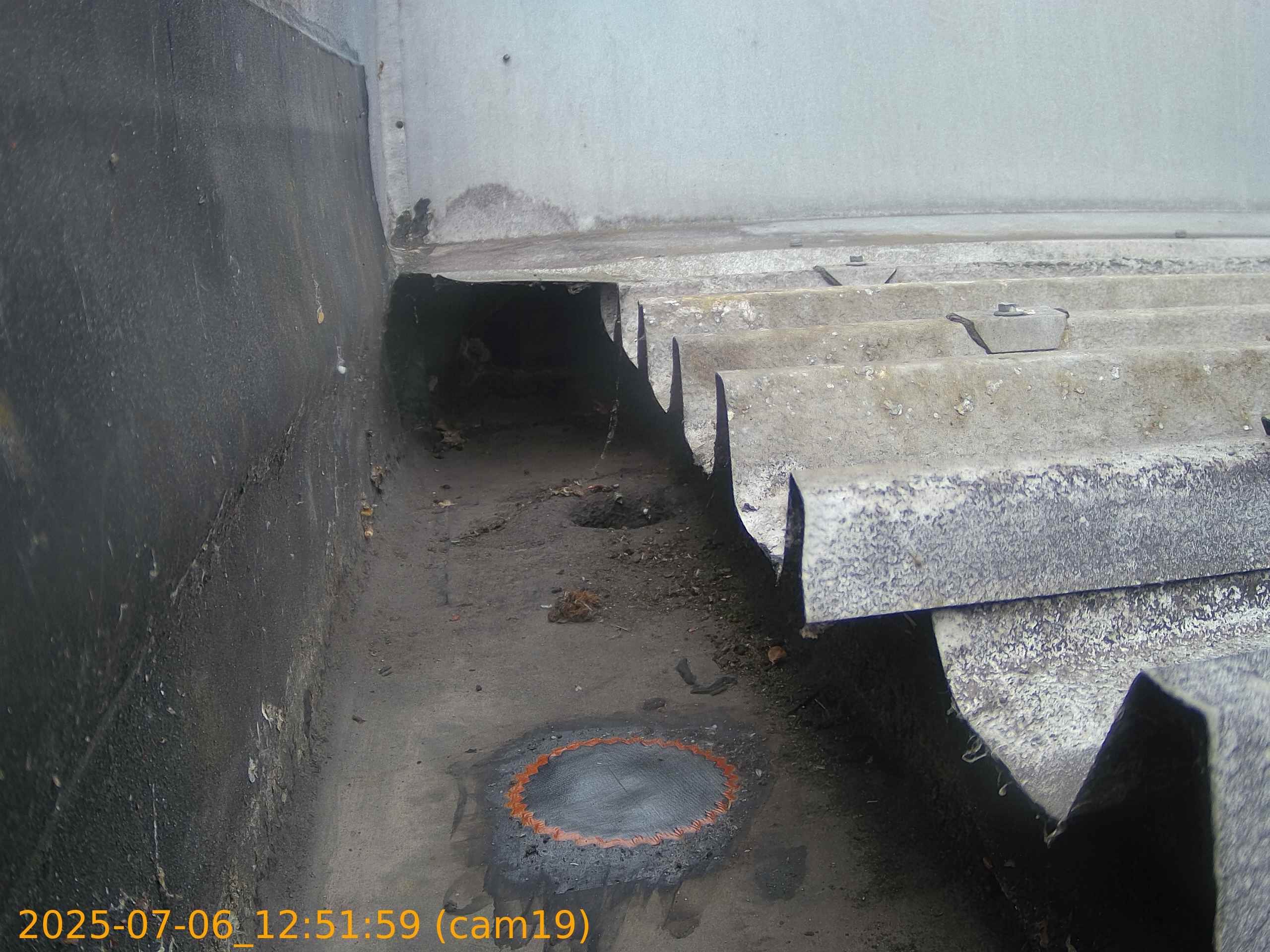 thumbnail_202507061251