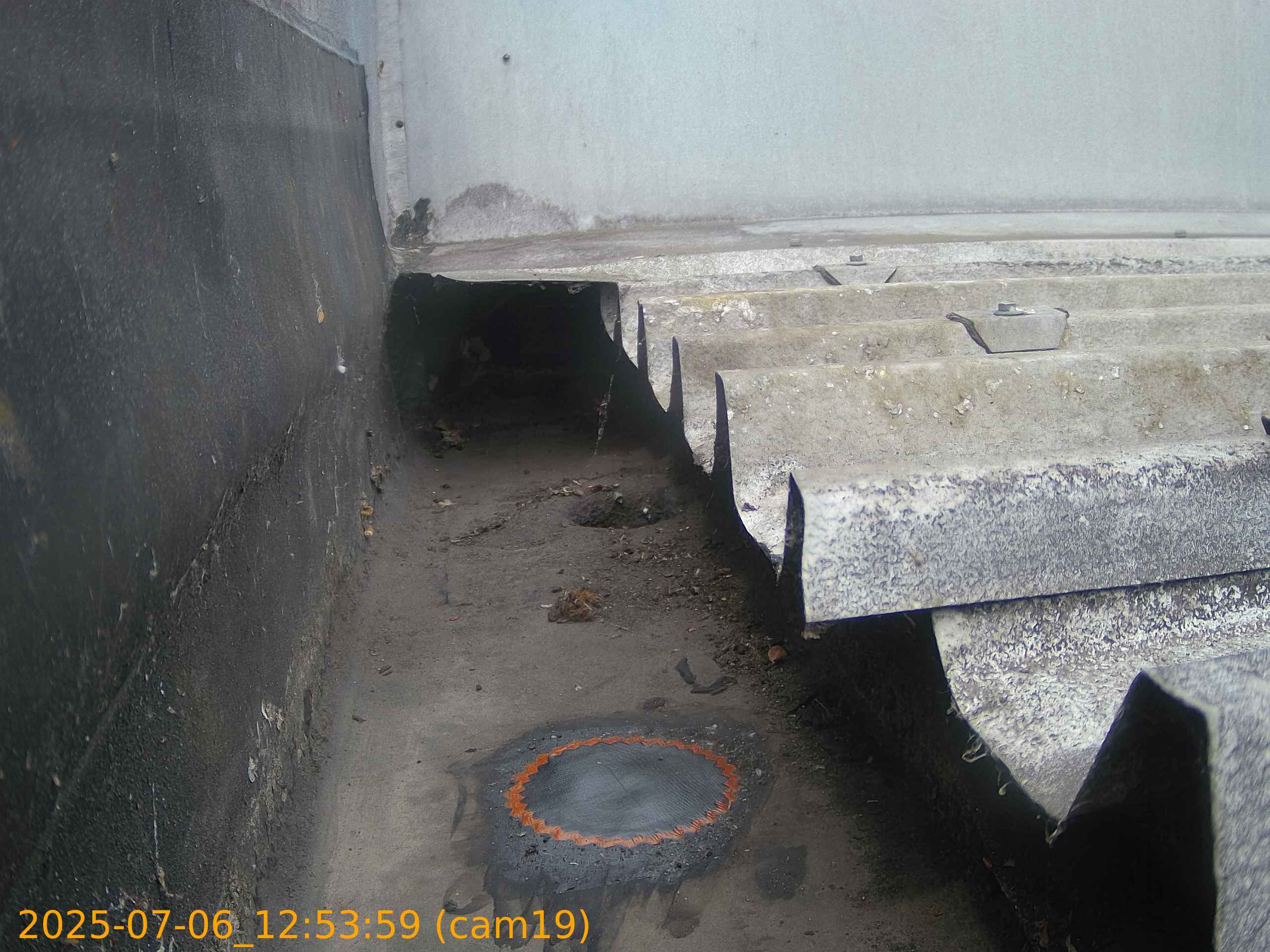 thumbnail_202507061253
