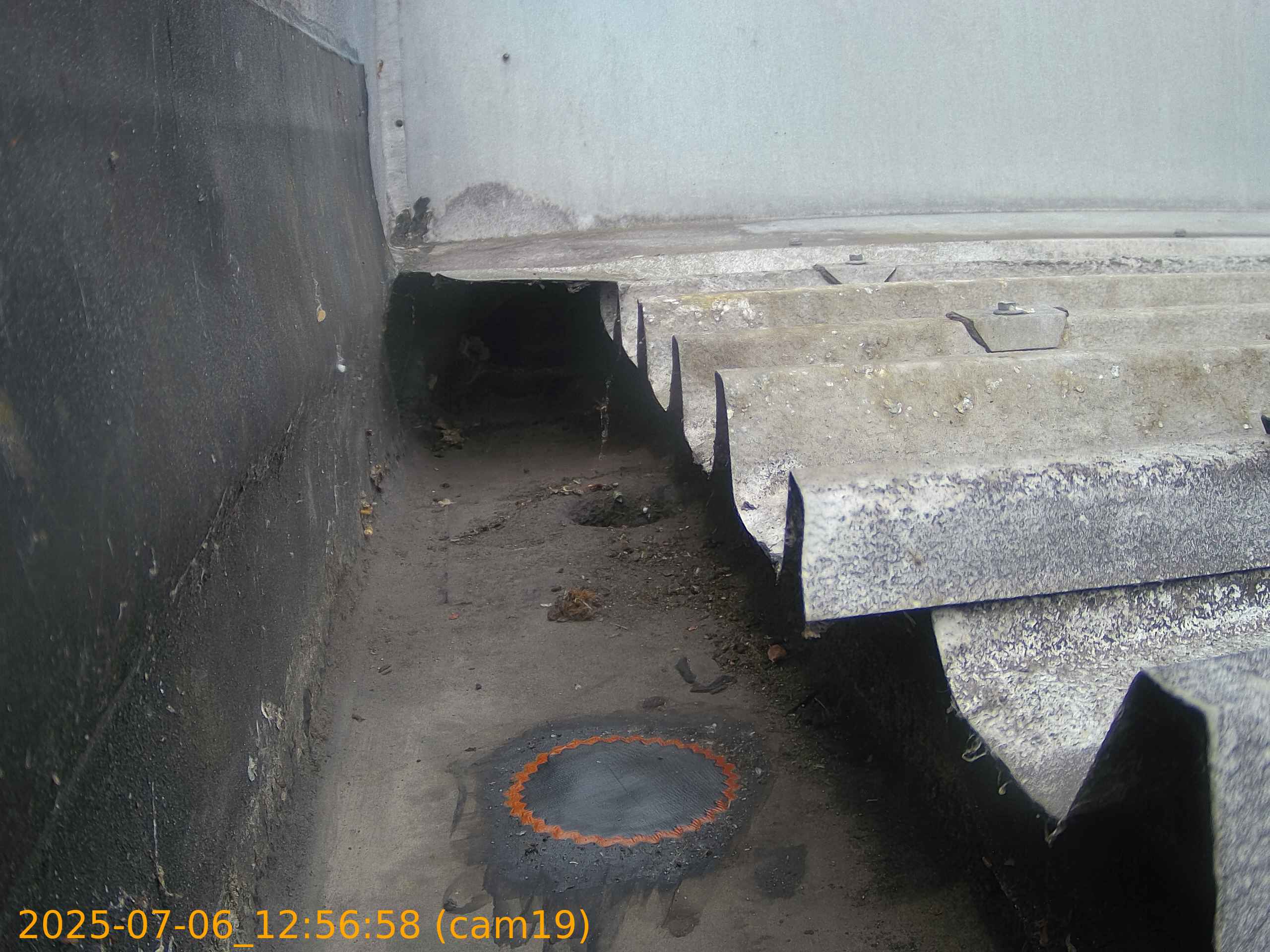 thumbnail_202507061256