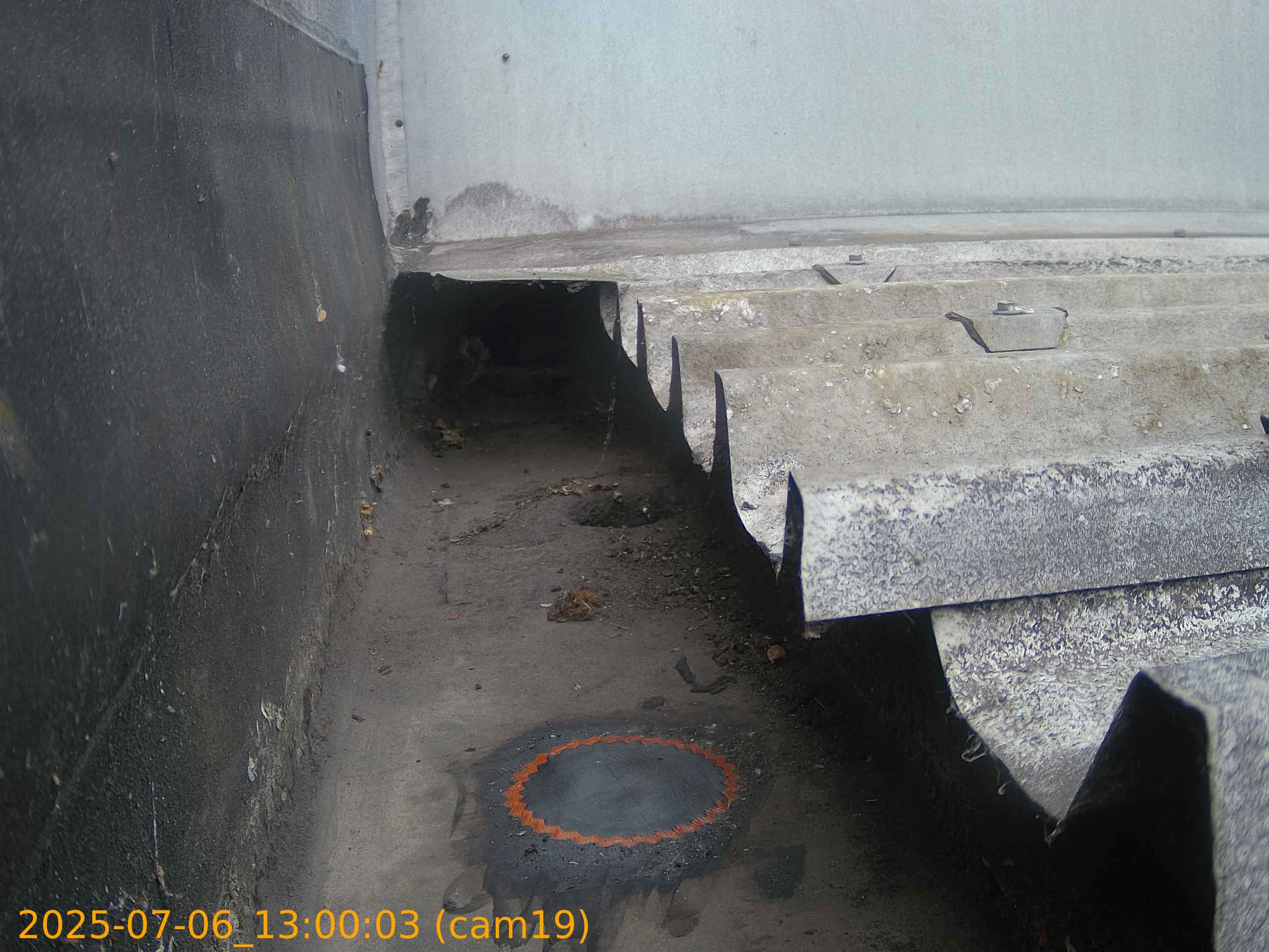 thumbnail_20250706130003