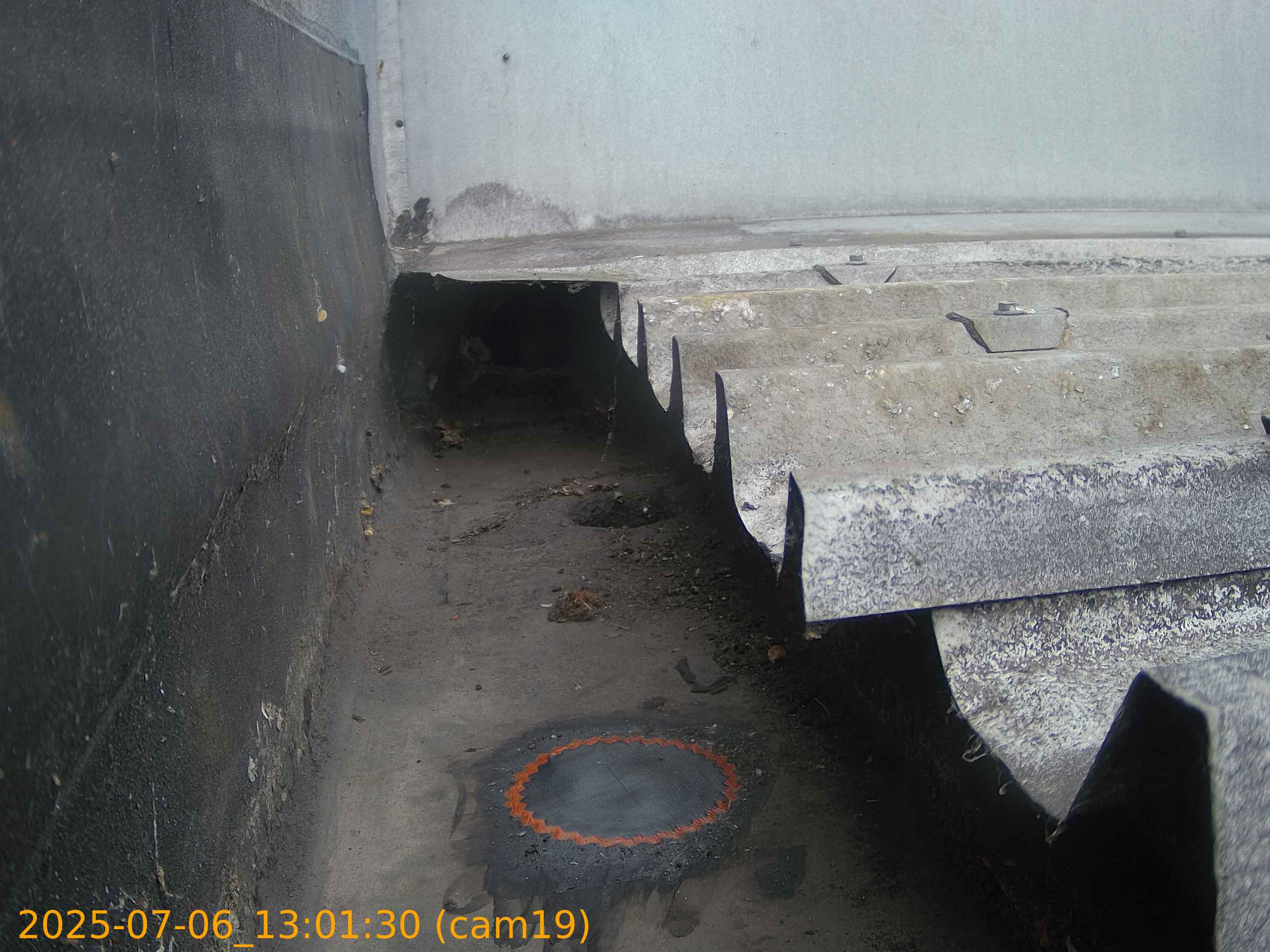 thumbnail_20250706130129
