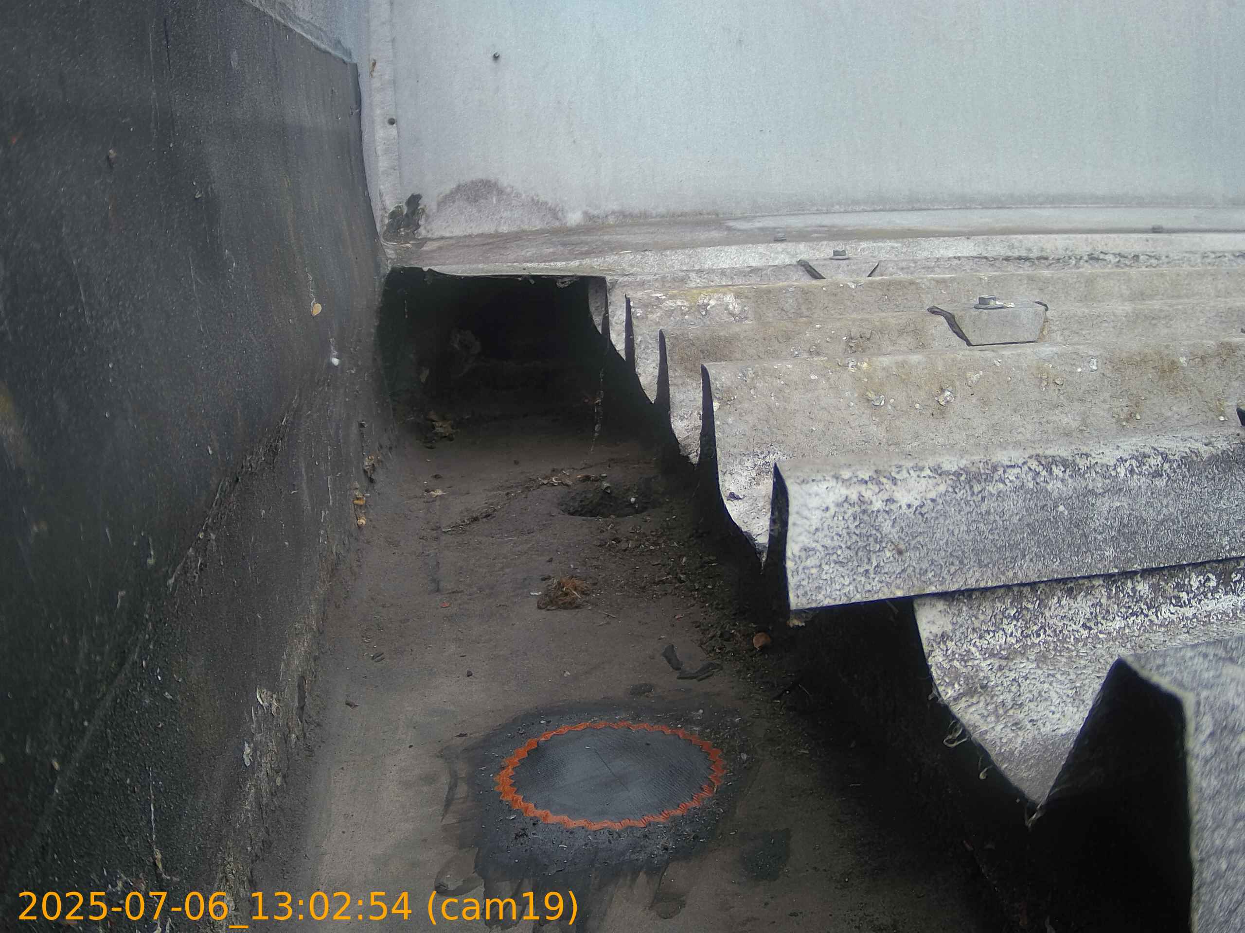 thumbnail_20250706130254