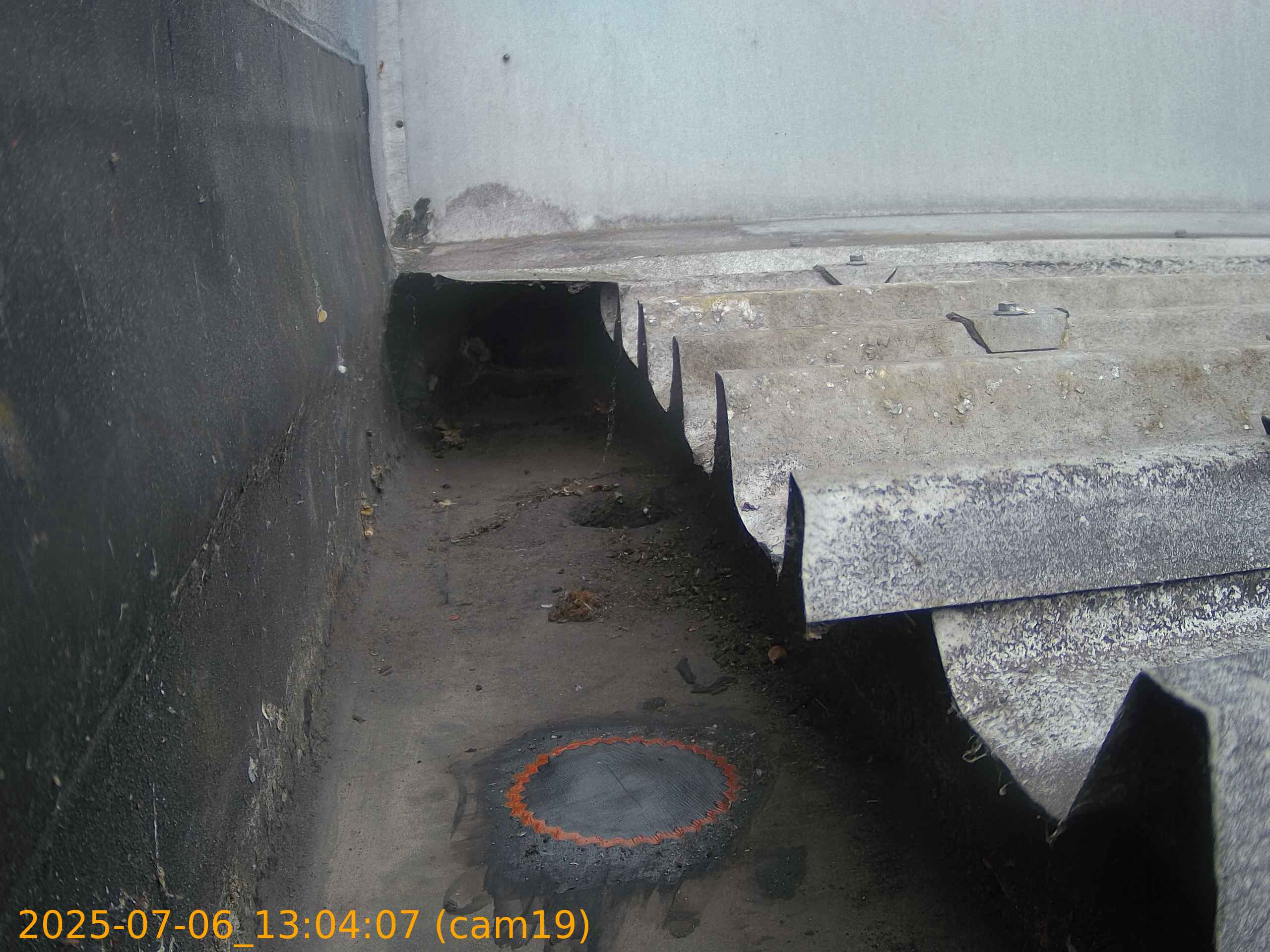 thumbnail_20250706130407