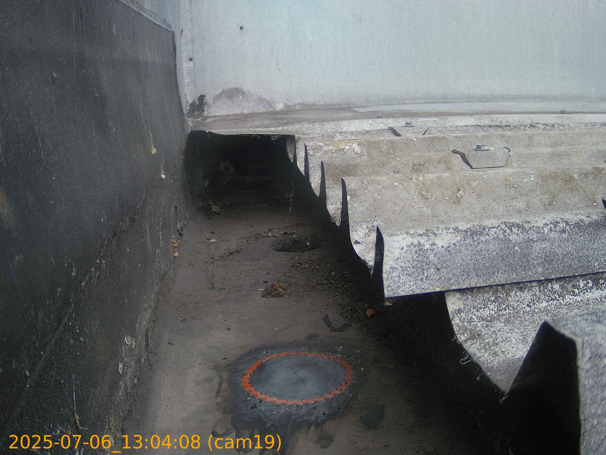 thumbnail_20250706130408