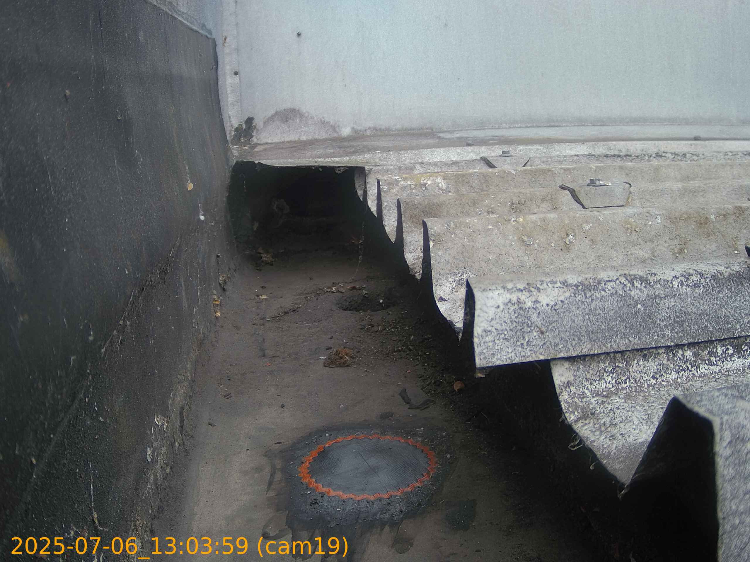 thumbnail_202507061303