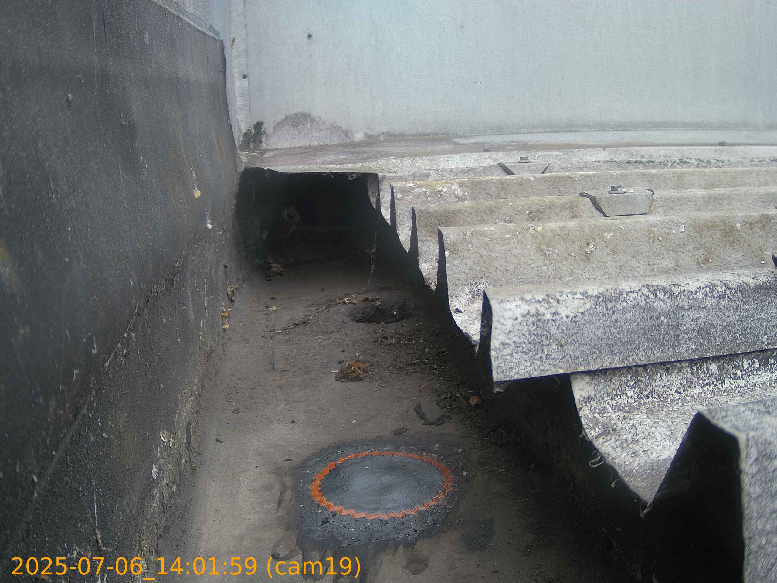 thumbnail_202507061401