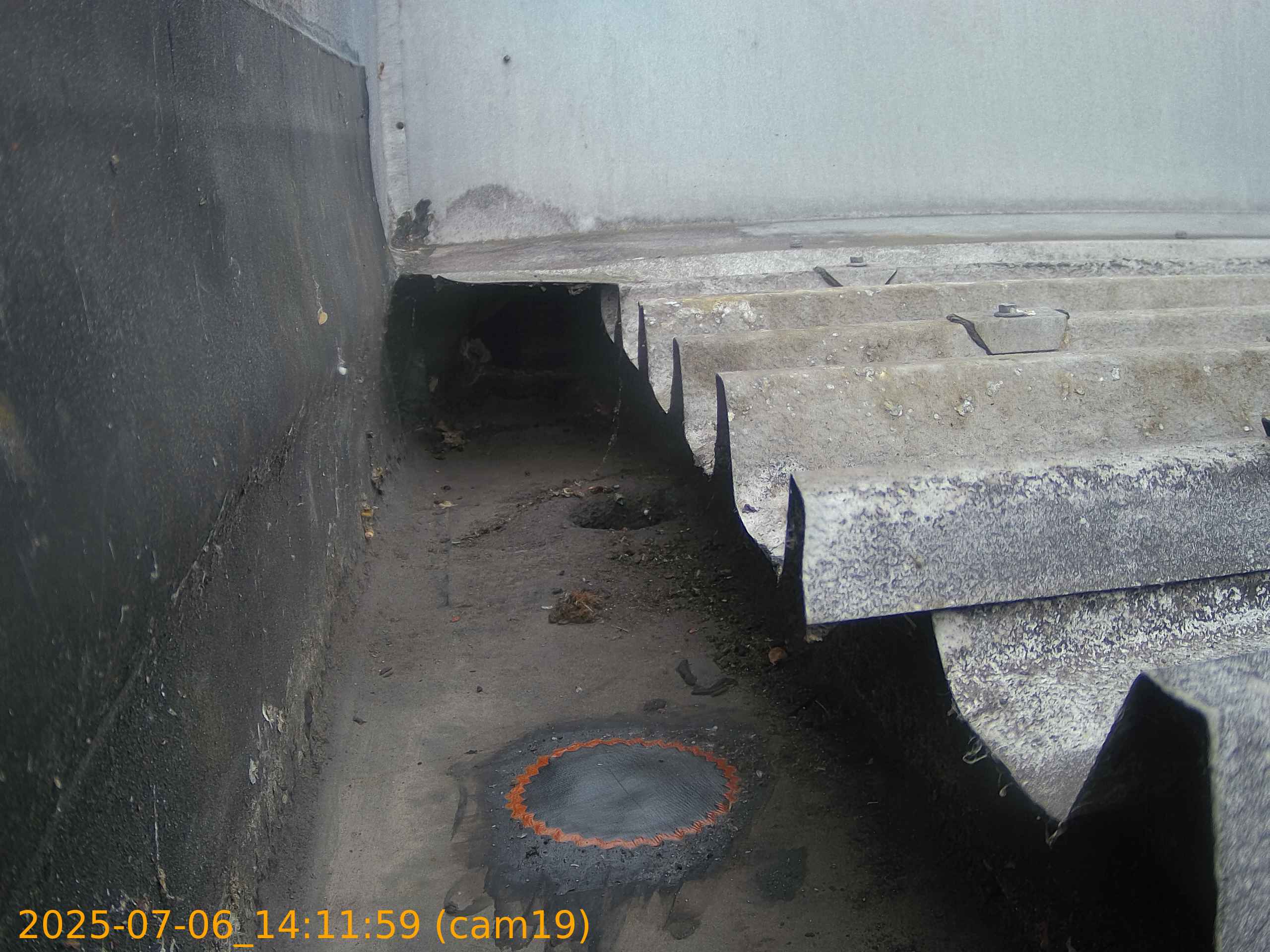 thumbnail_202507061411