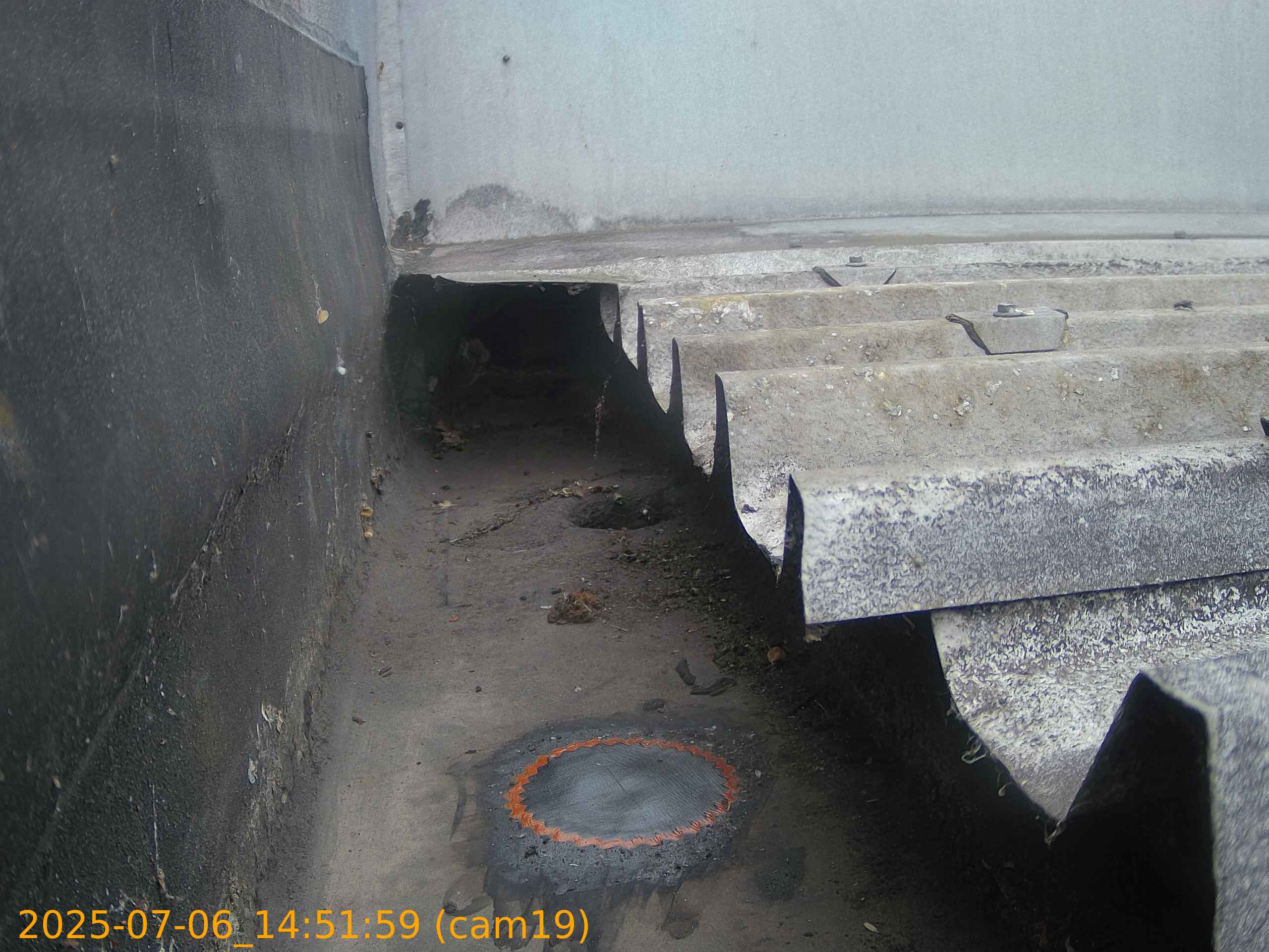 thumbnail_202507061451