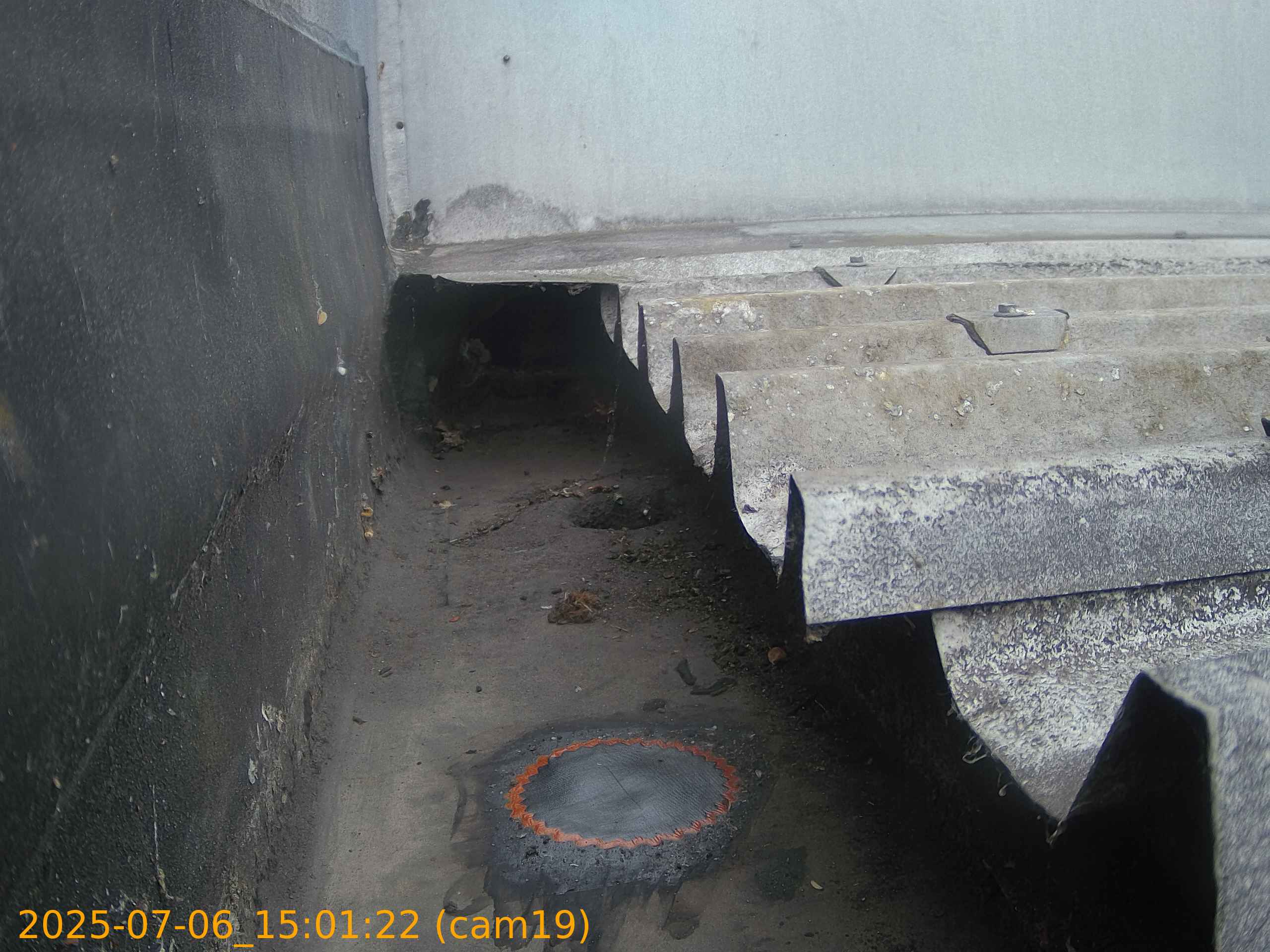 thumbnail_20250706150122