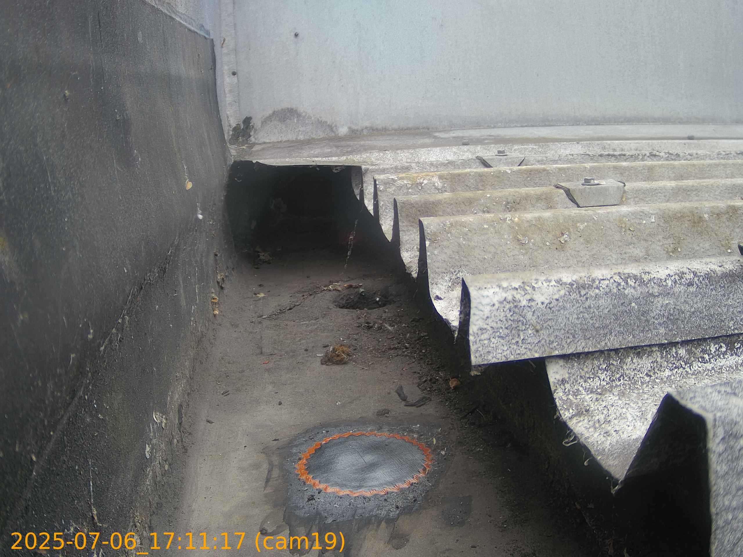 thumbnail_20250706171117