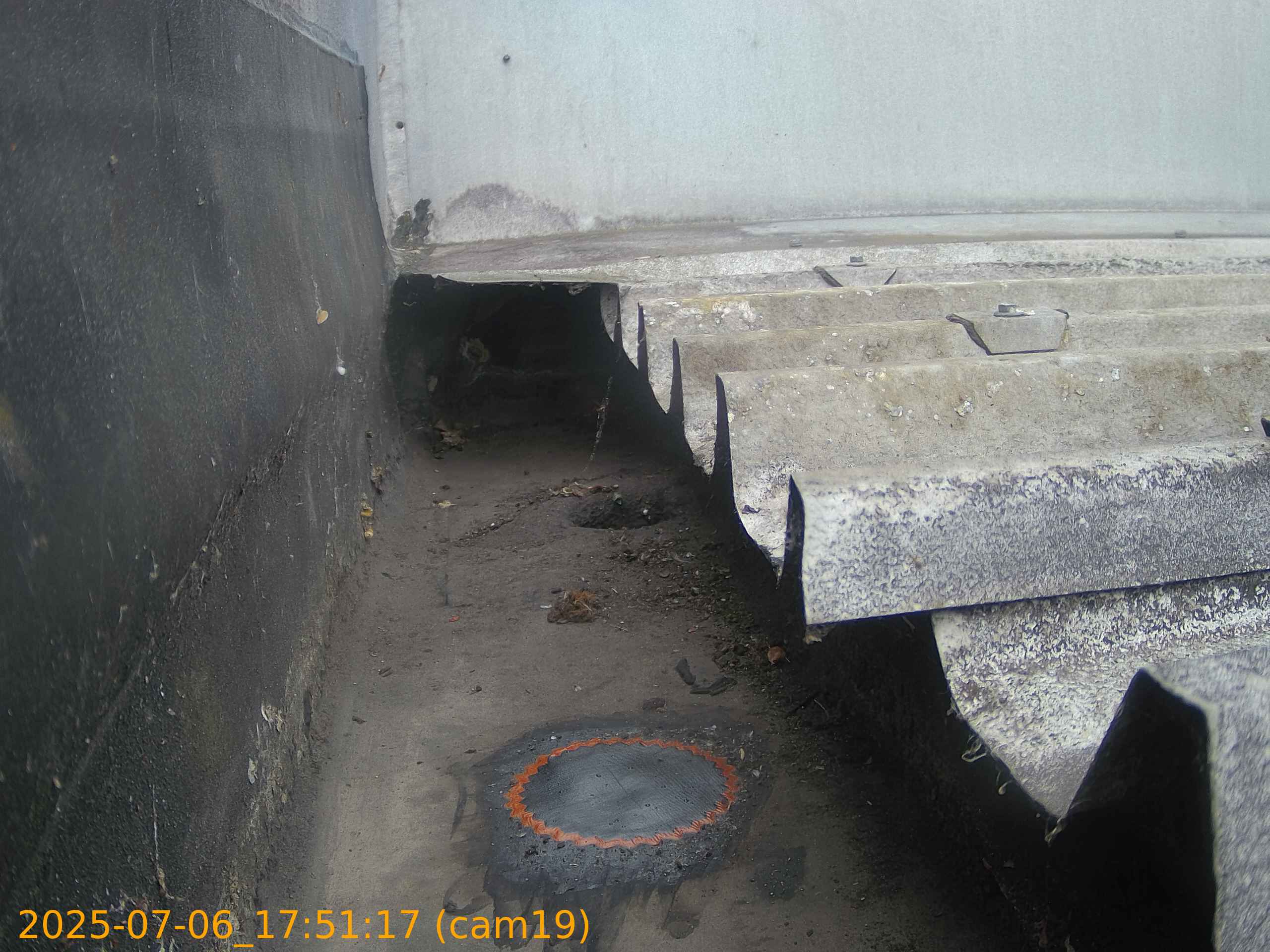 thumbnail_20250706175117