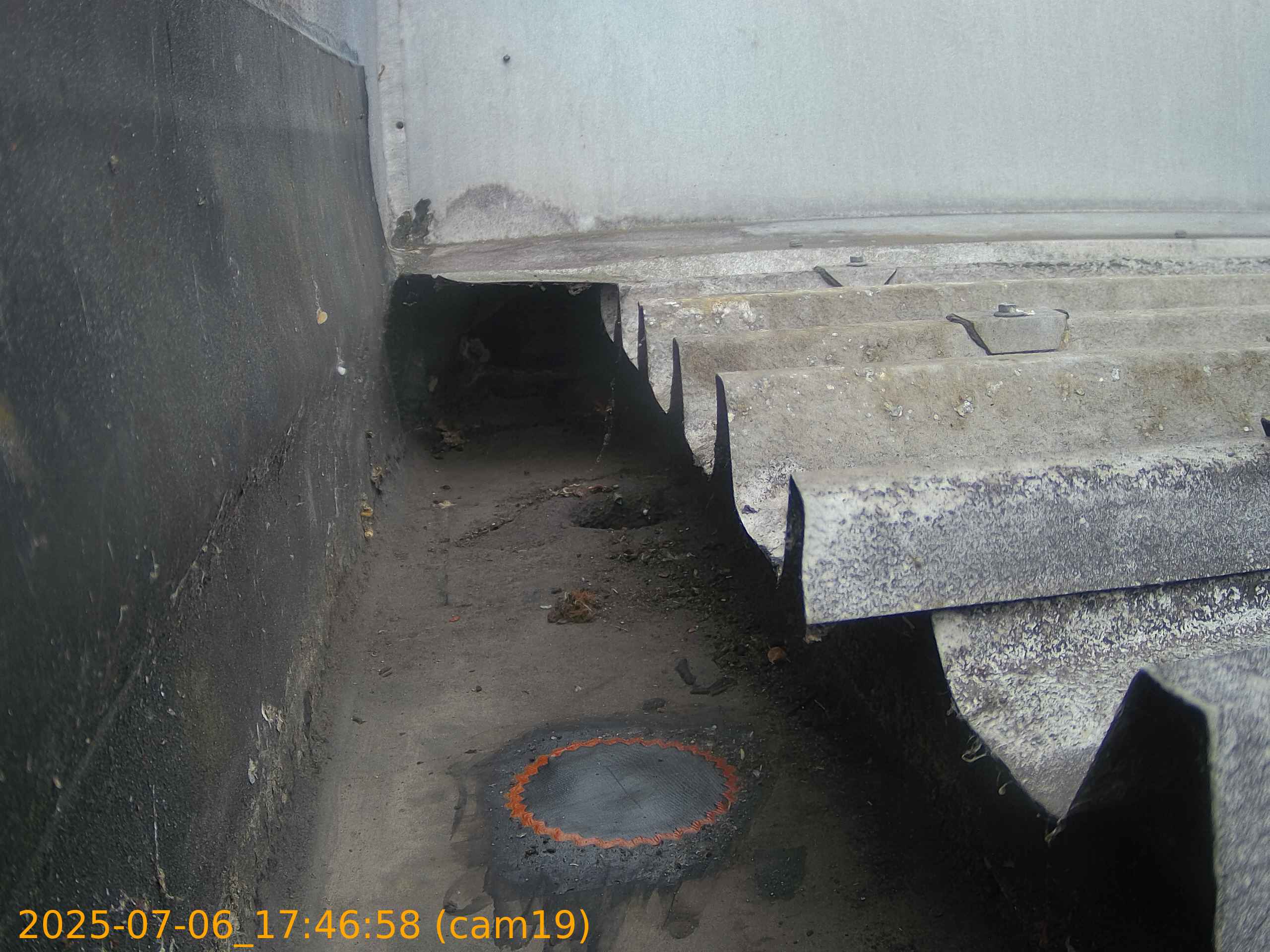 thumbnail_202507061746