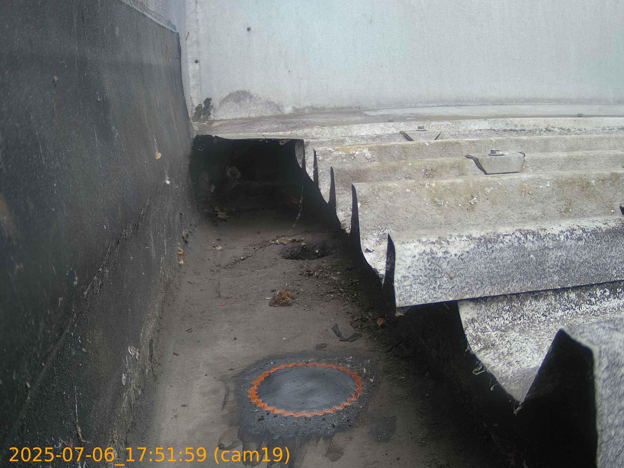 thumbnail_202507061751