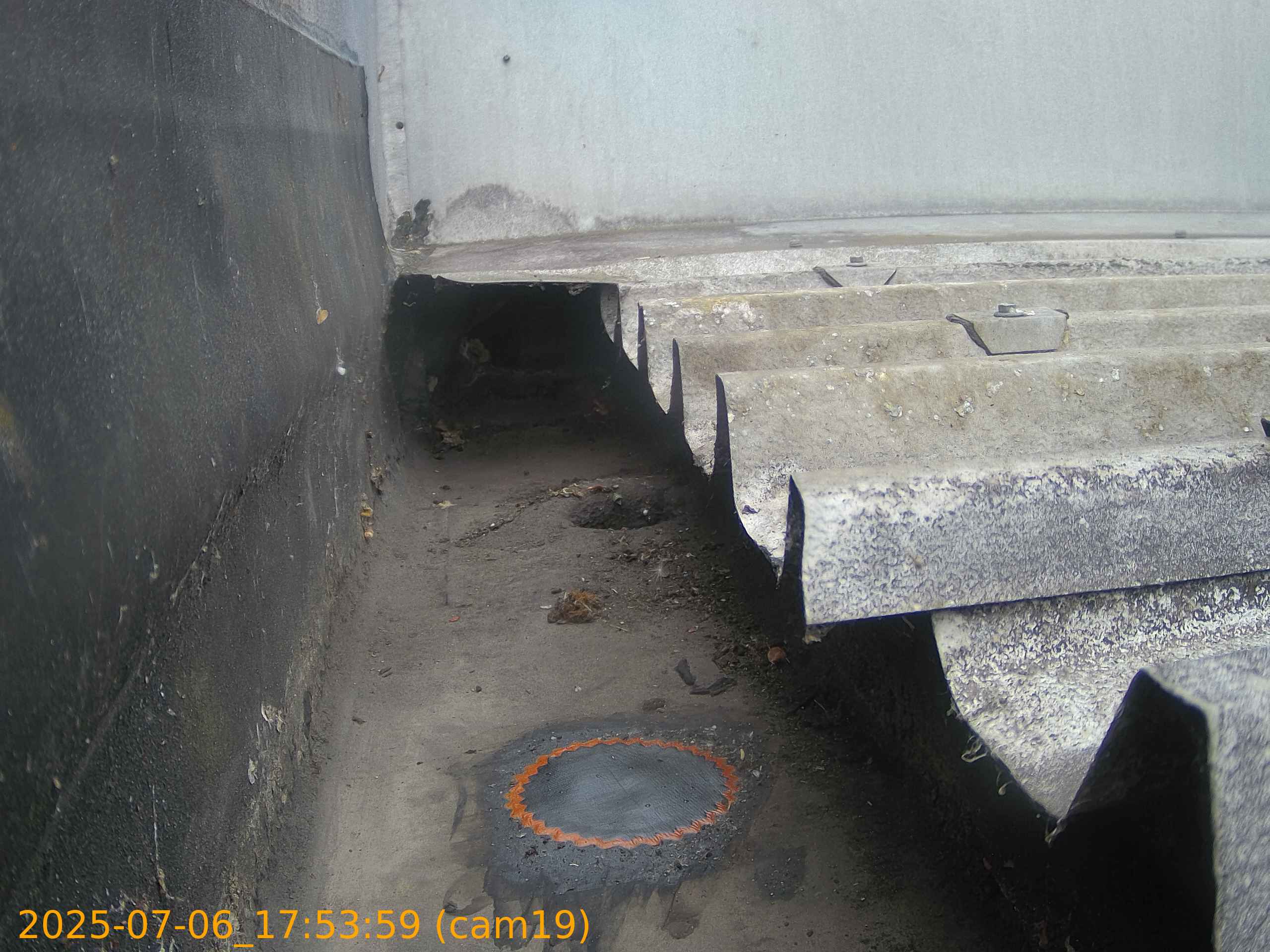thumbnail_202507061753