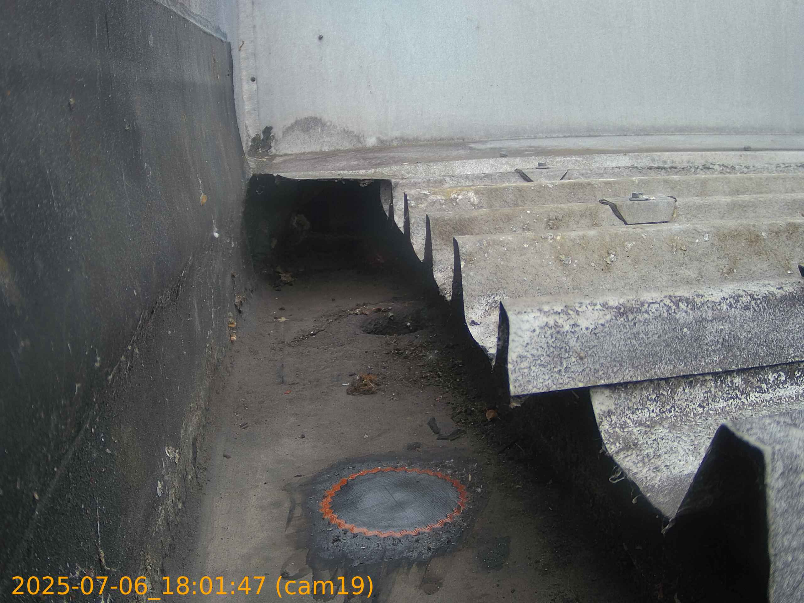 thumbnail_20250706180147
