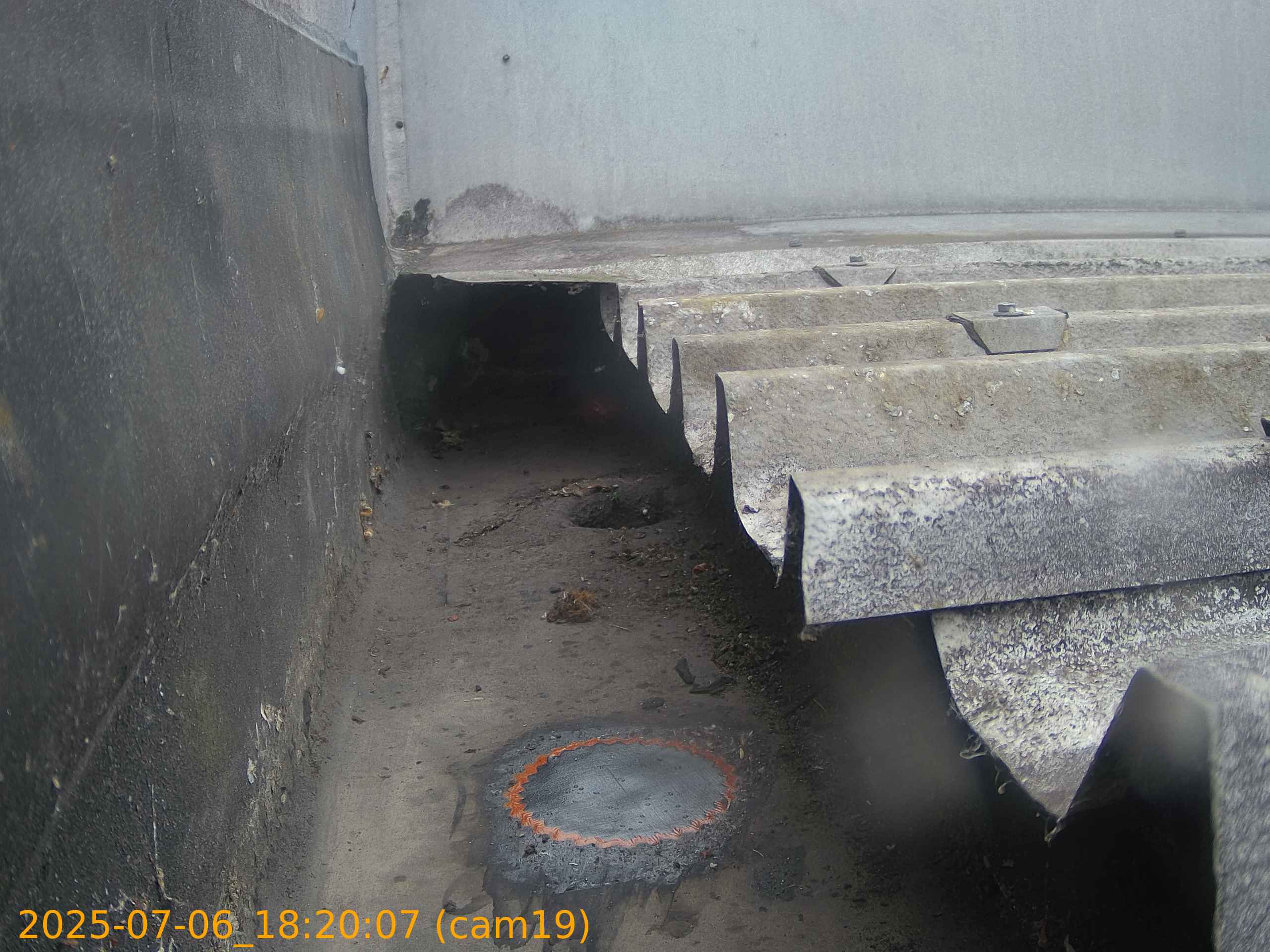 thumbnail_20250706182007