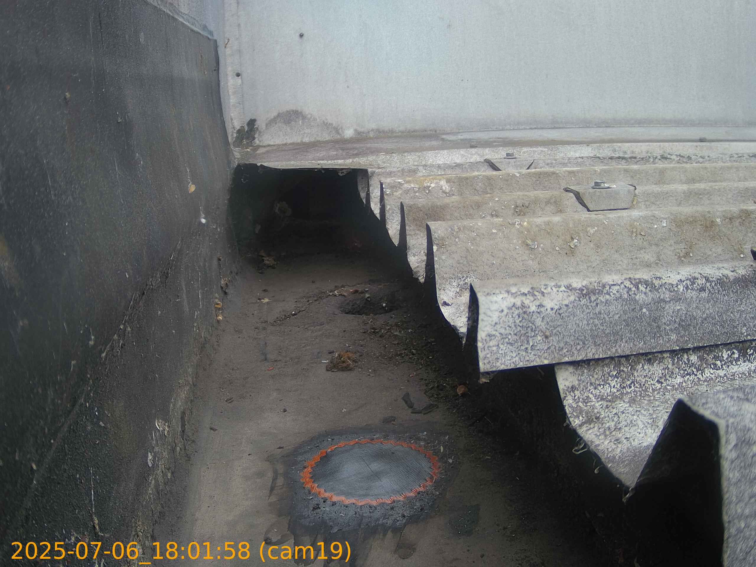 thumbnail_202507061801