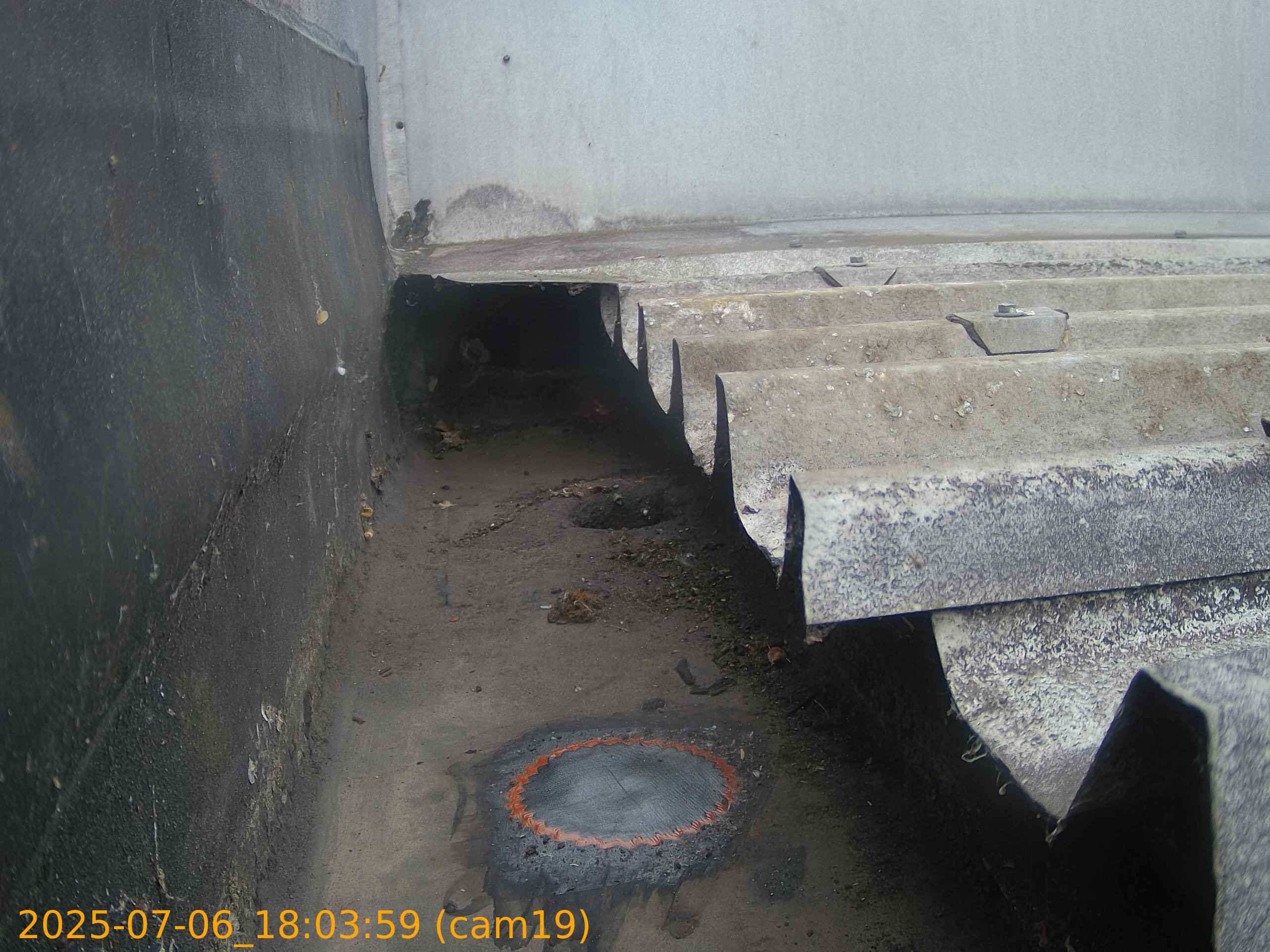 thumbnail_202507061803