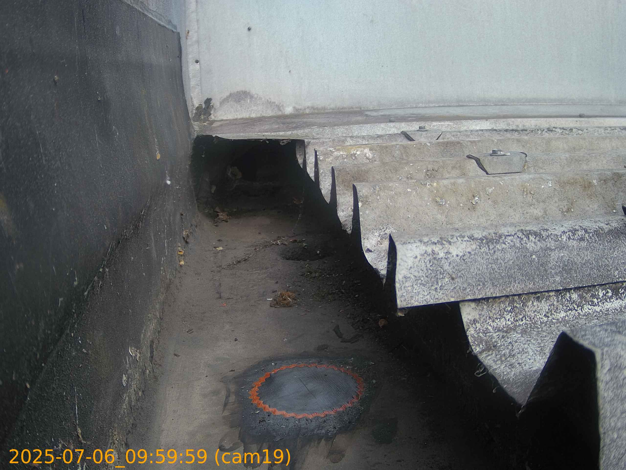 thumbnail_2025070609
