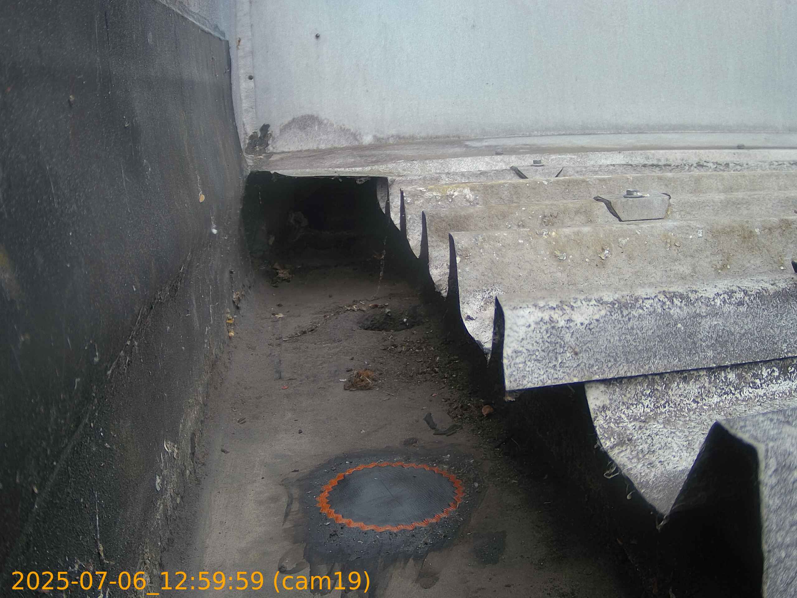thumbnail_2025070612