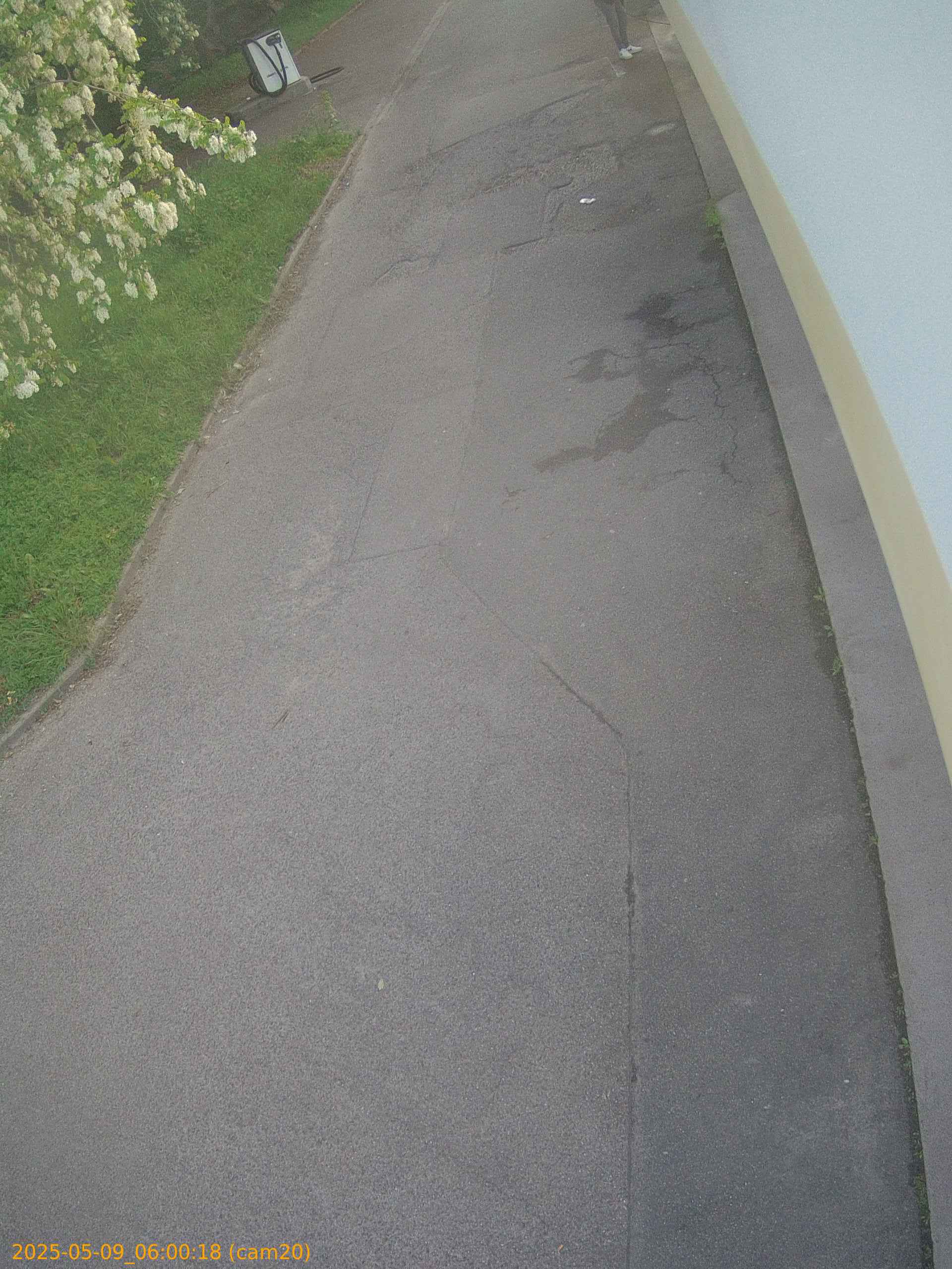 thumbnail_20250509060018