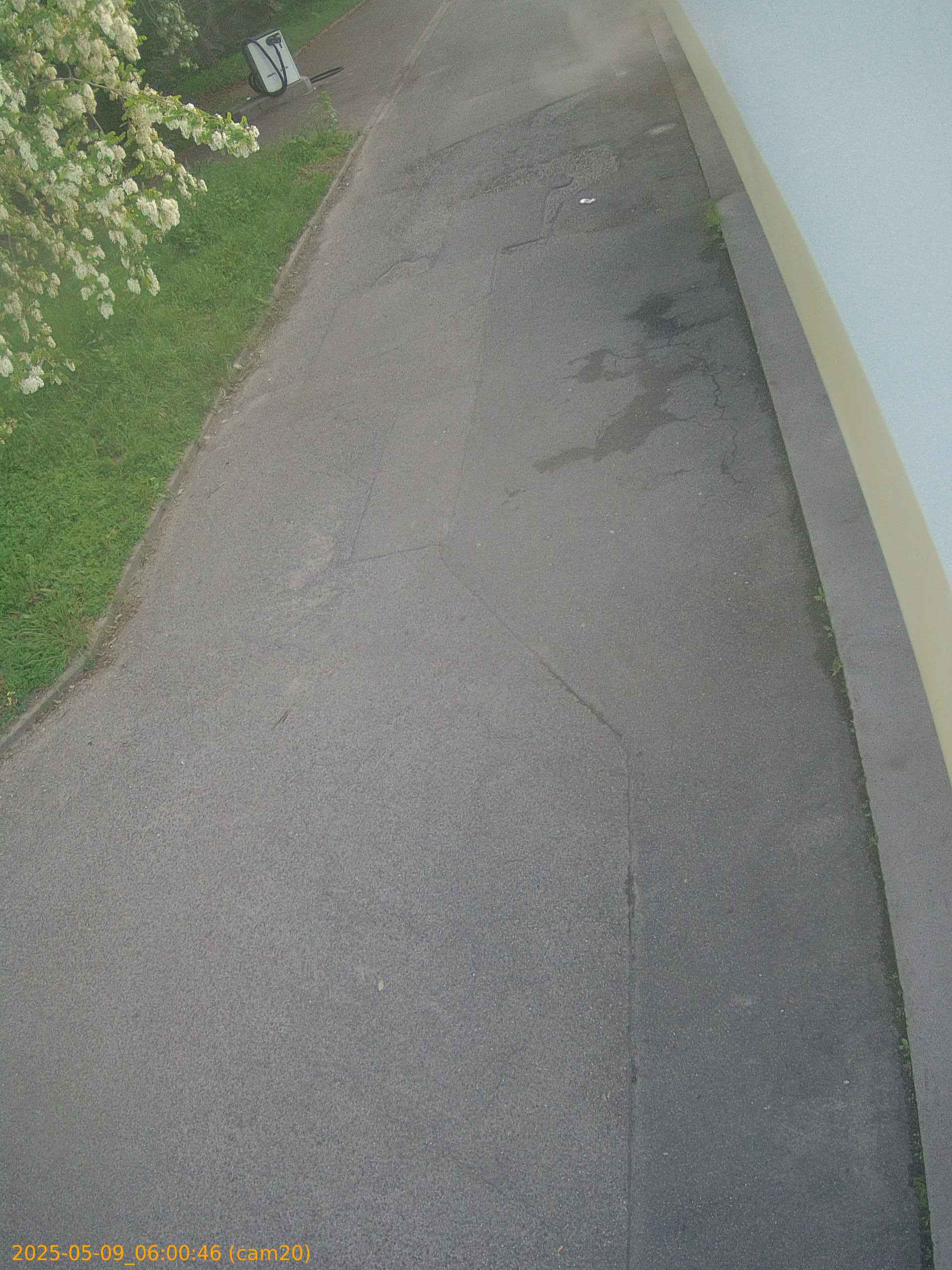 thumbnail_20250509060046