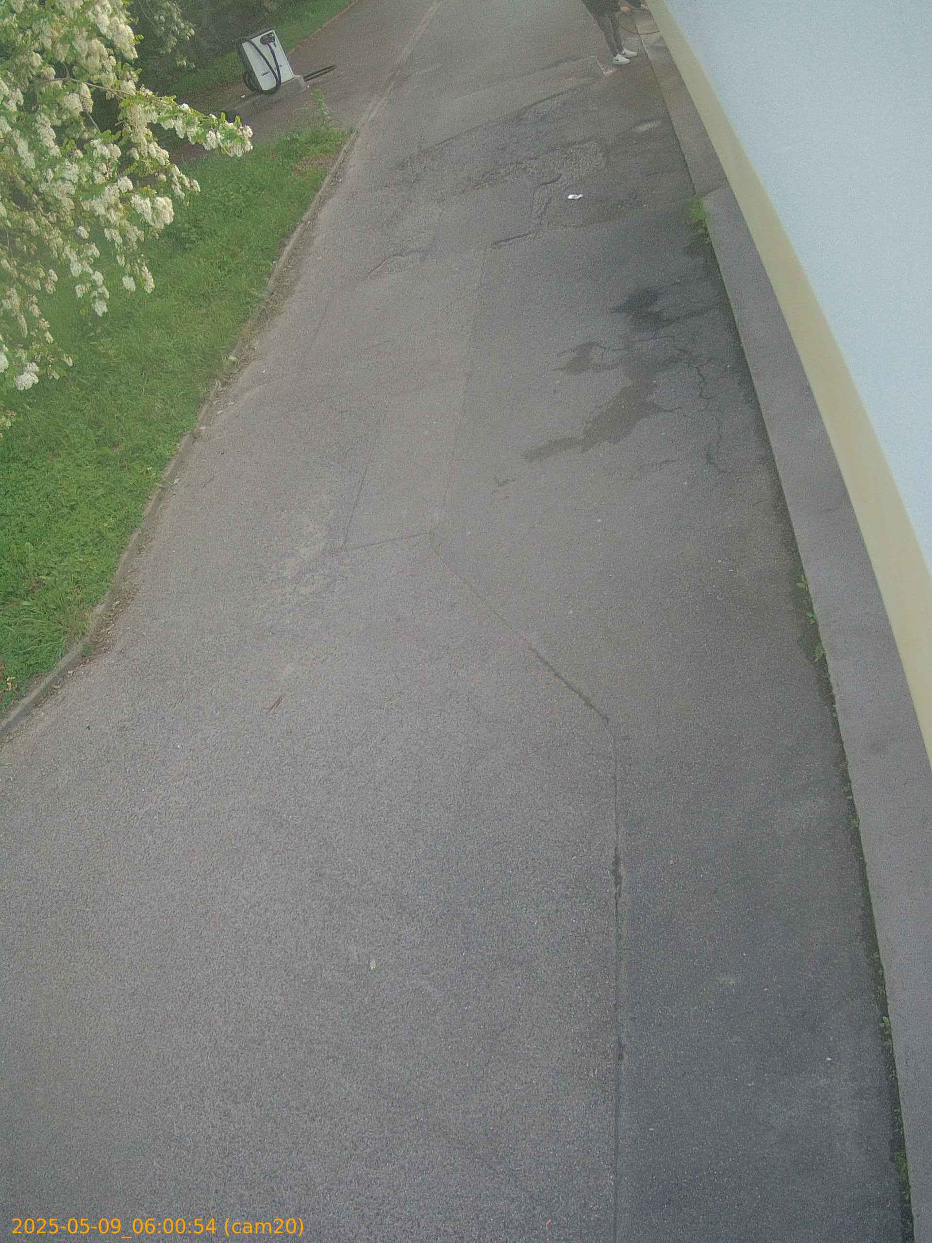 thumbnail_20250509060054