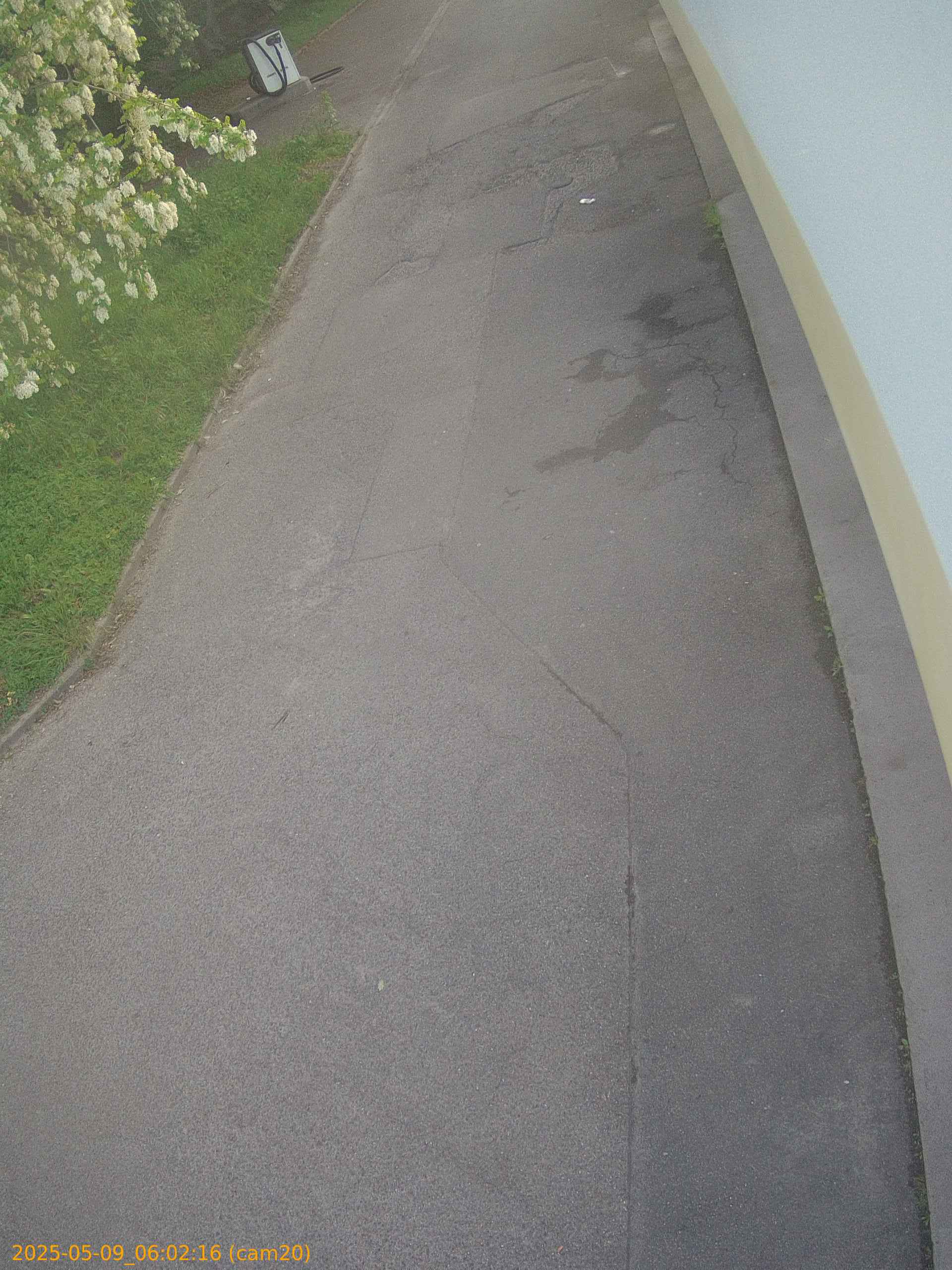 thumbnail_20250509060216