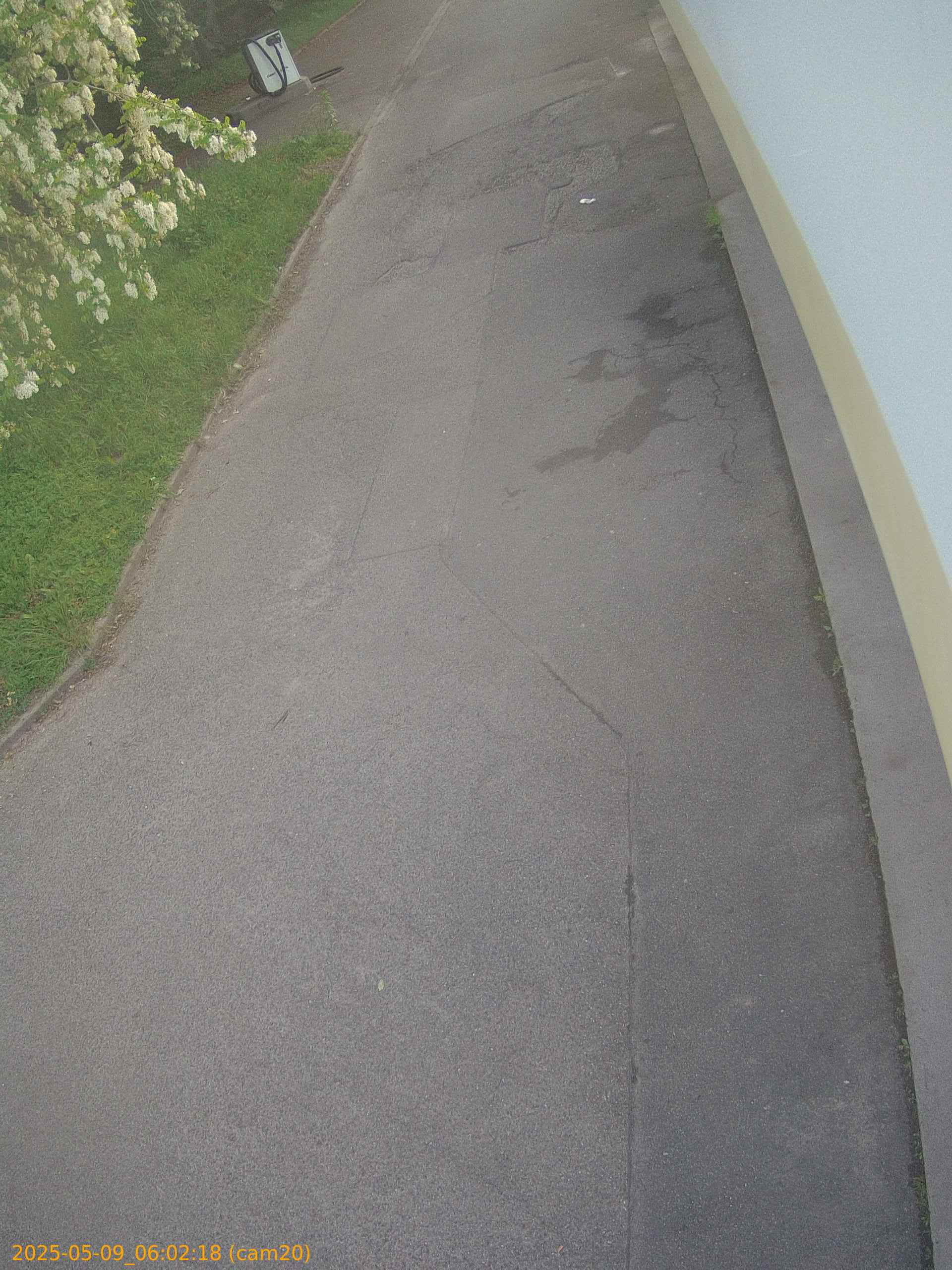 thumbnail_20250509060218