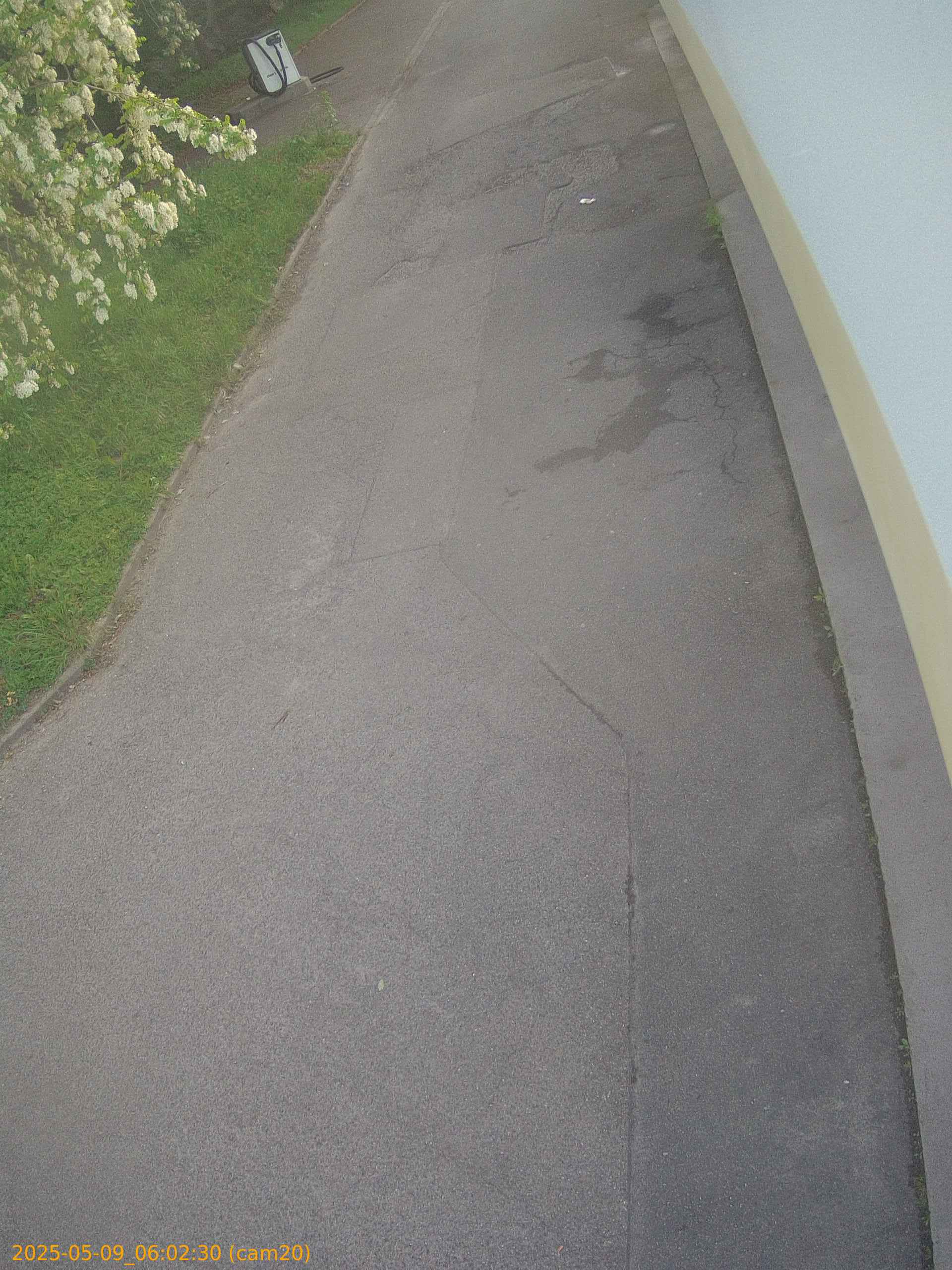 thumbnail_20250509060230