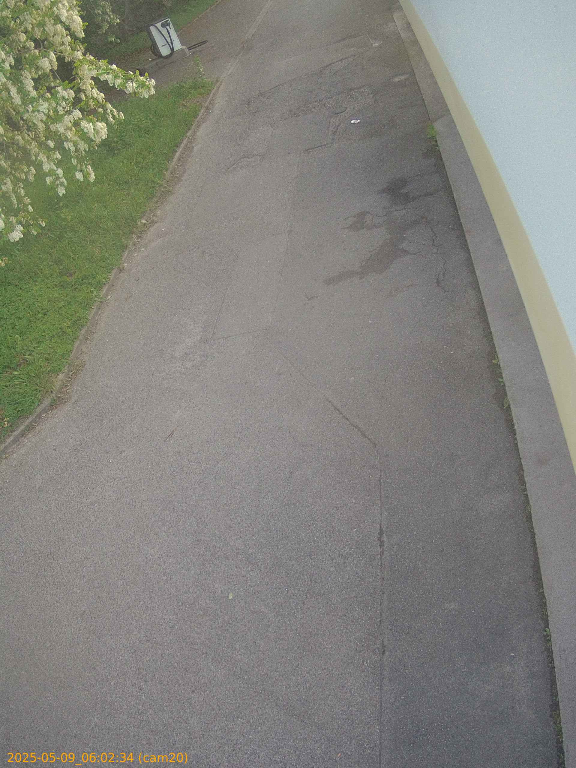 thumbnail_20250509060234