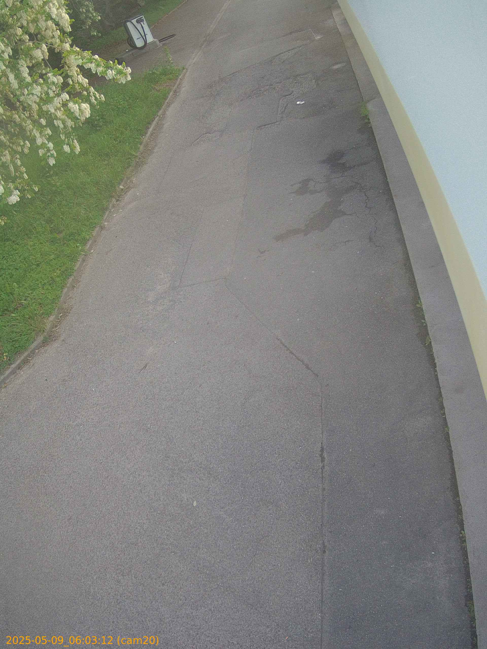 thumbnail_20250509060312