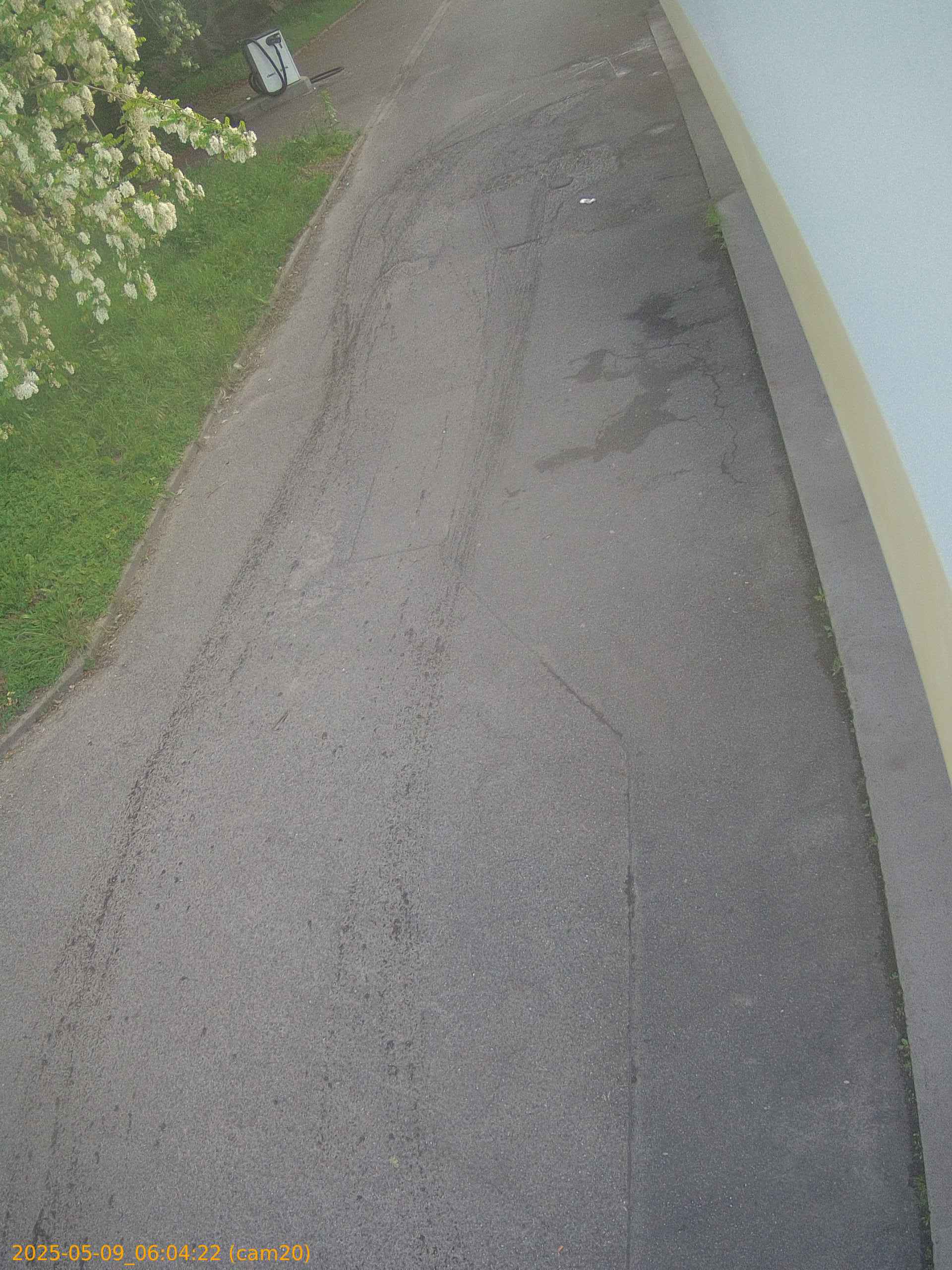 thumbnail_20250509060422