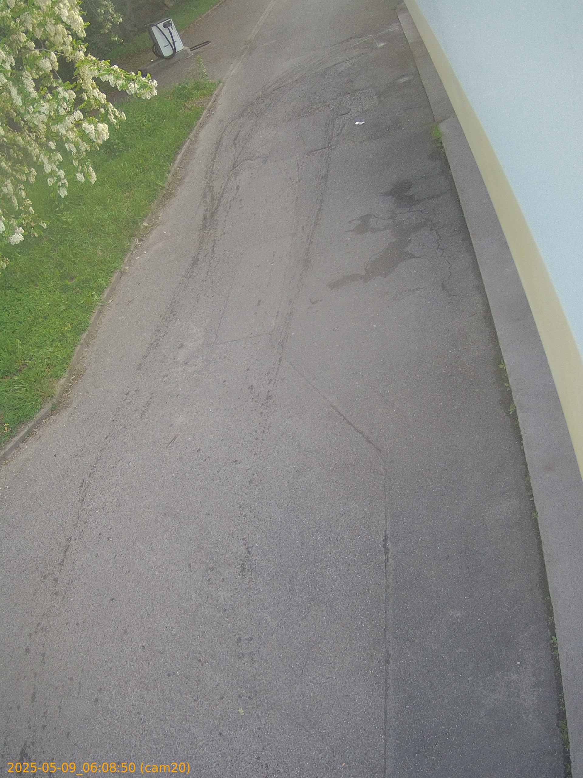 thumbnail_20250509060850